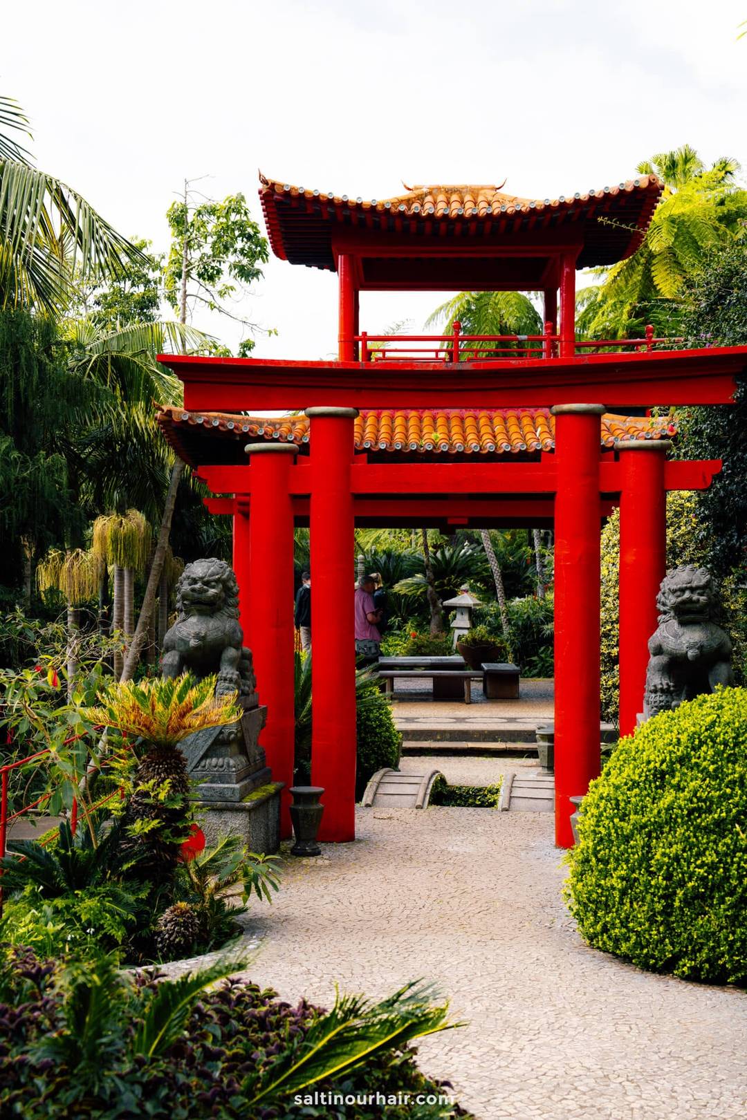 monte palace garden funchal madeira