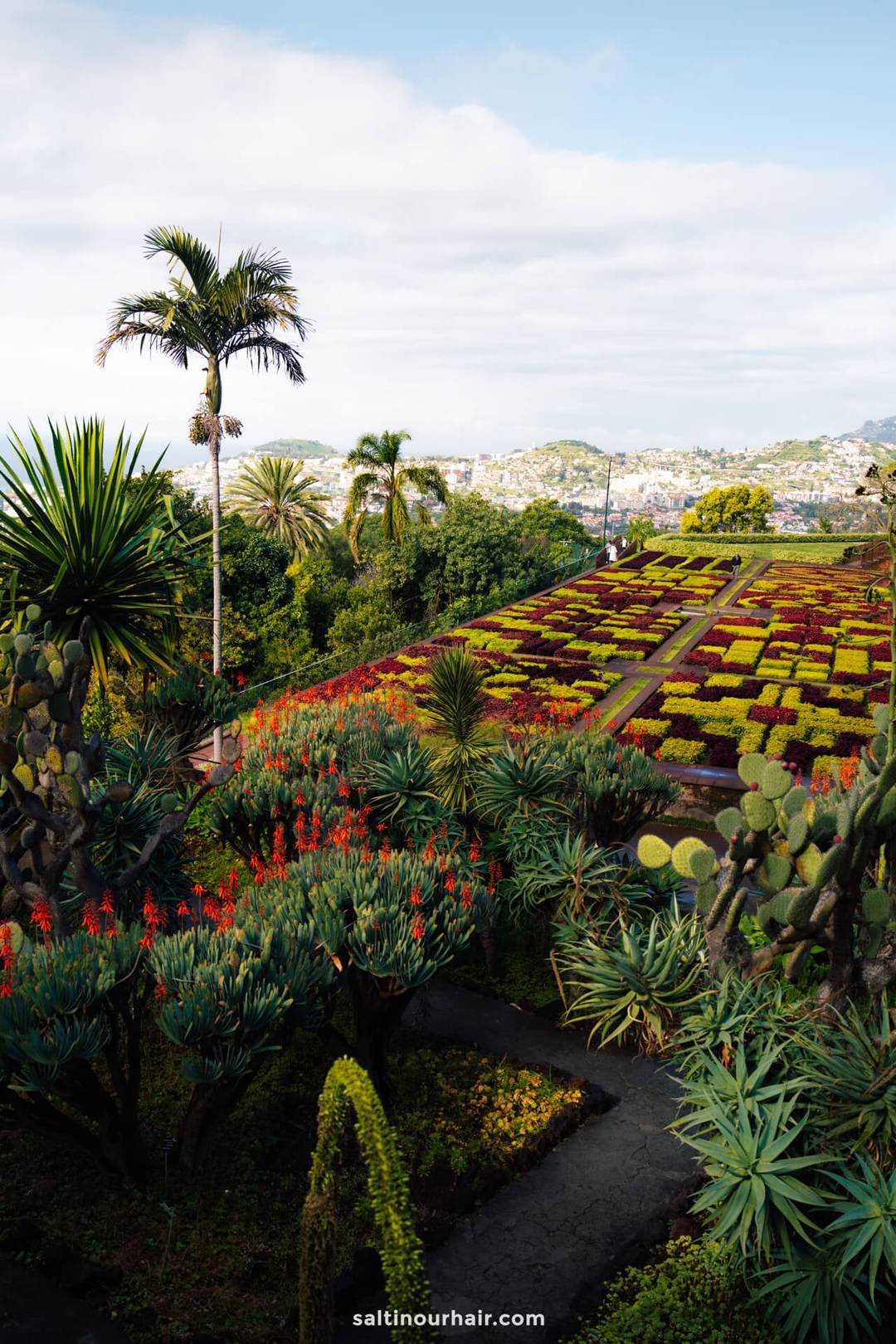 madeira funchal botanical gardens