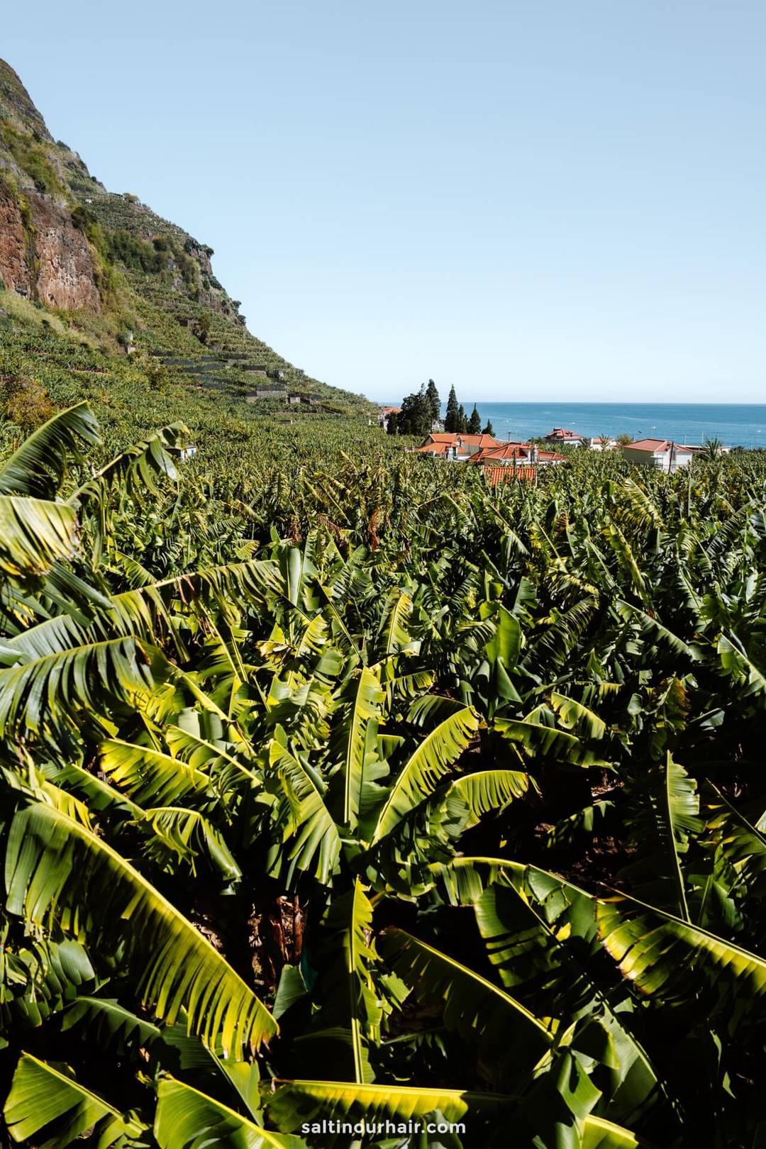 madeira 10 day itinerary RB1 hike  banana route