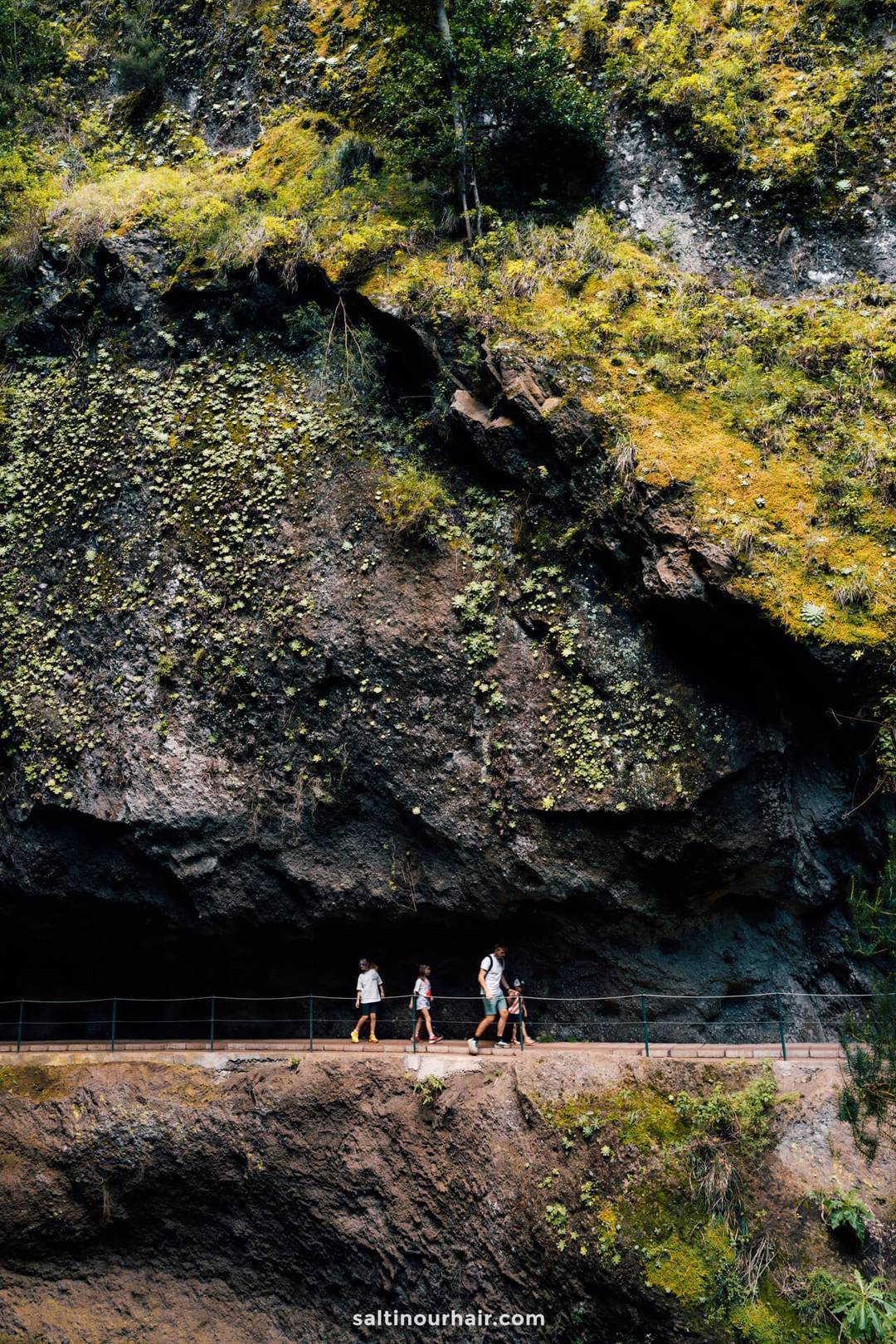 hike madeira levada nova