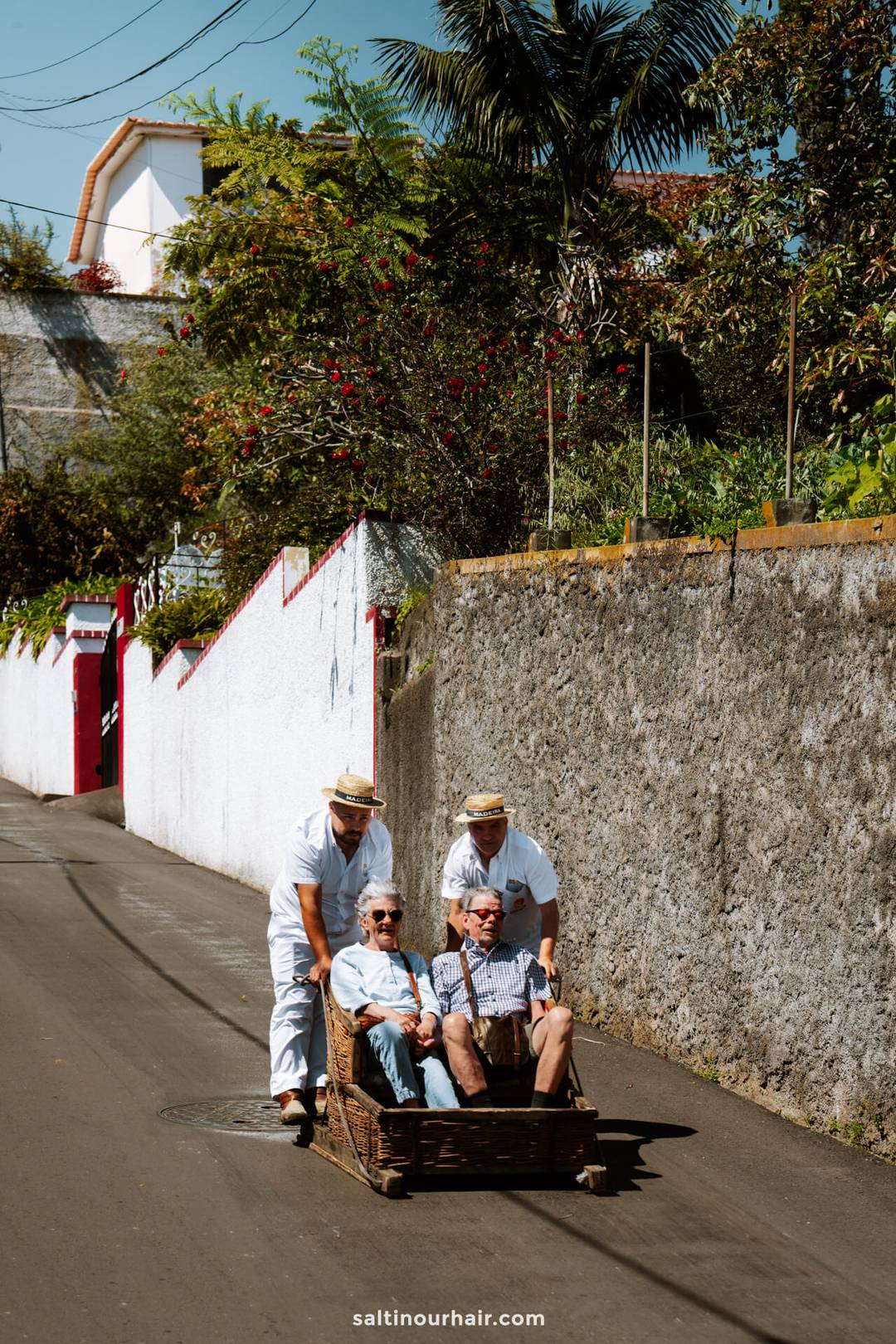 Madeira traditional carreiros 