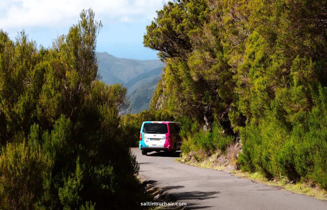 shuttle bus pr6 25 fontes hike madeira