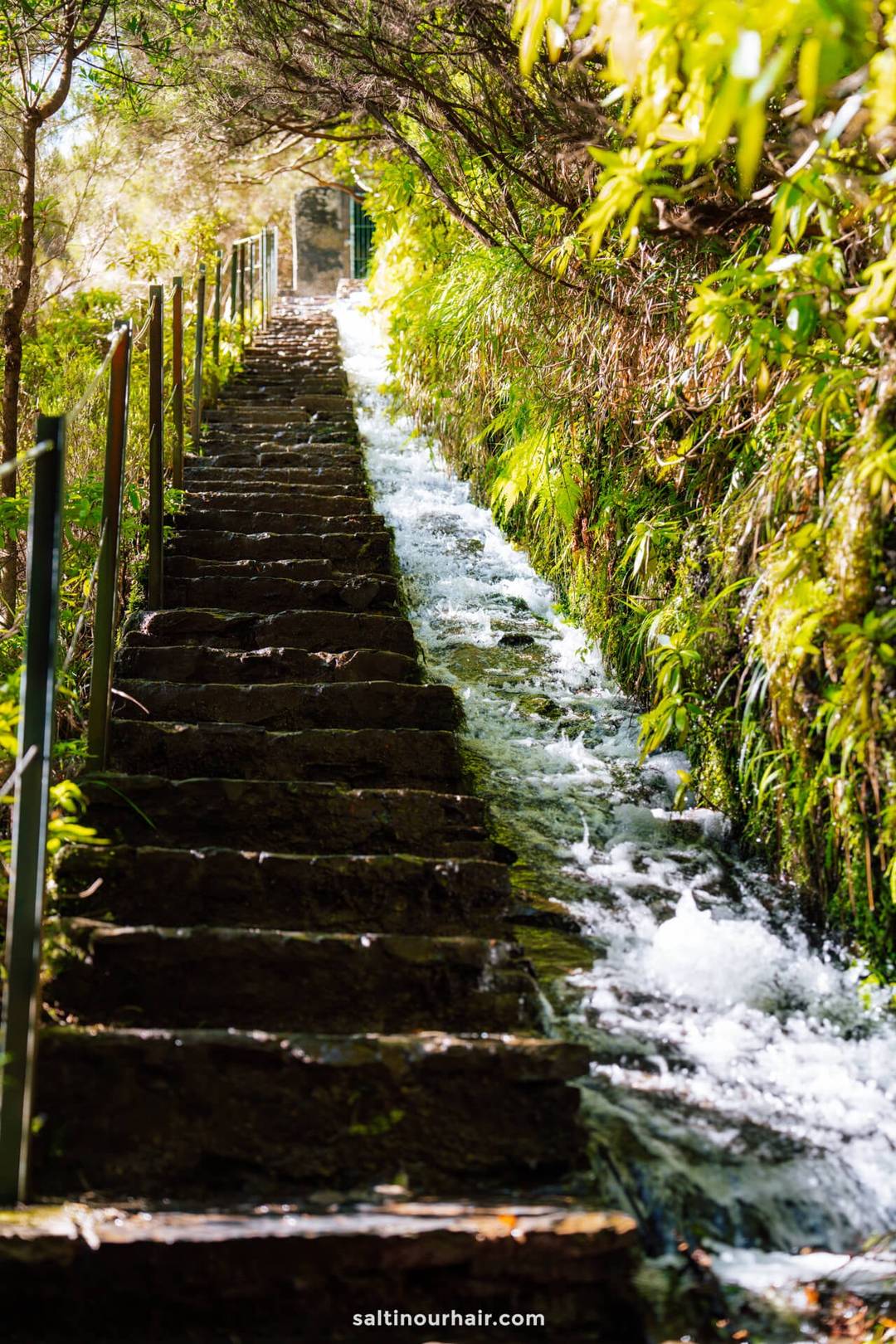 madeira itinerary pr6 levada das 25 fontes hike