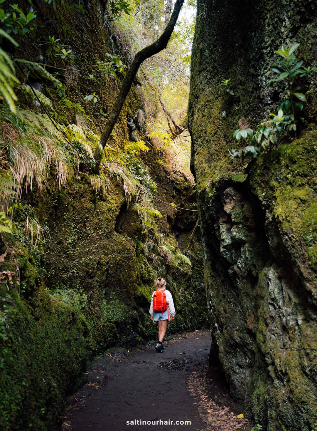 hike pr11 levada dos balcoas madeira