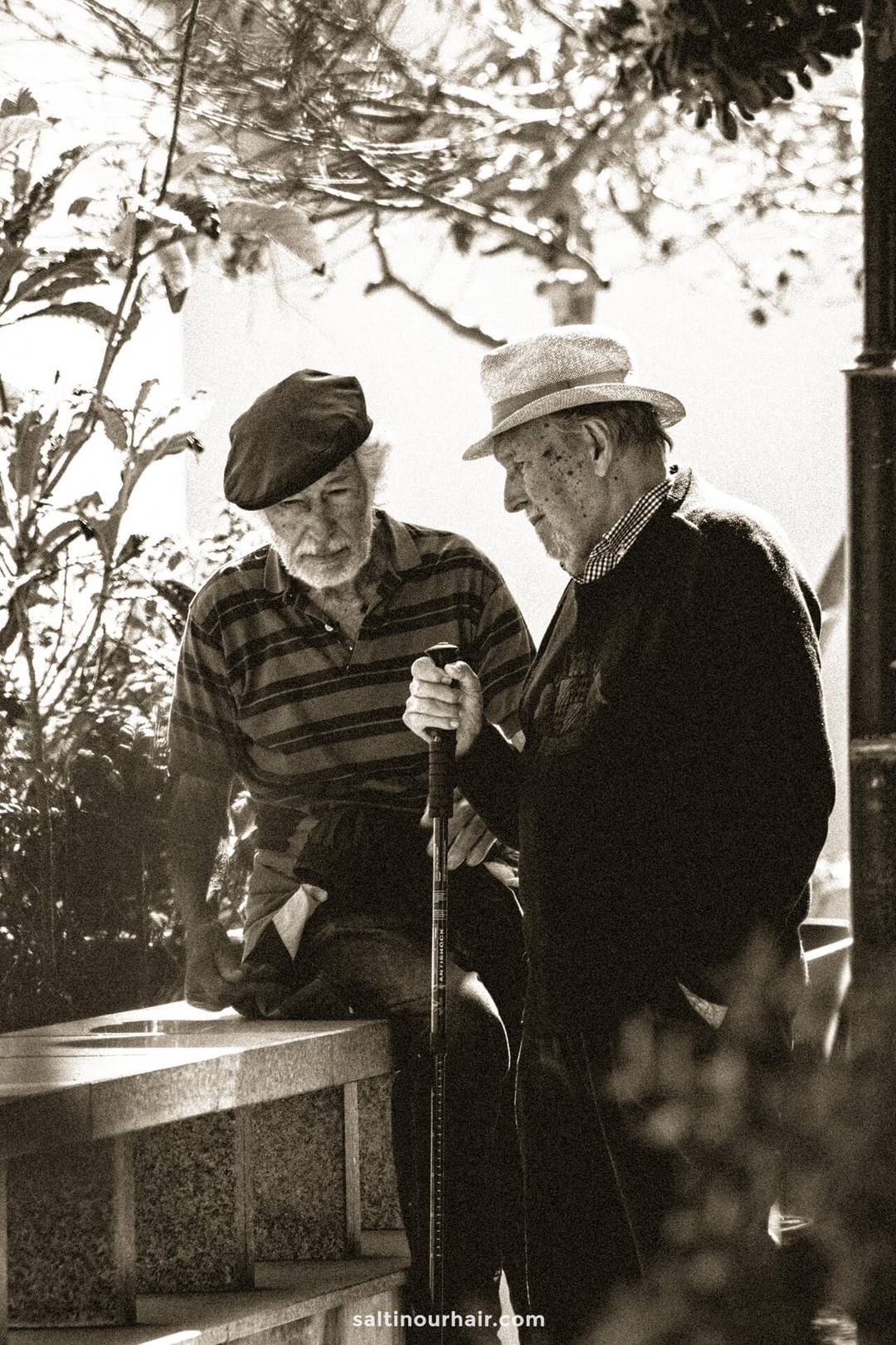 vintage photo madeira old men 