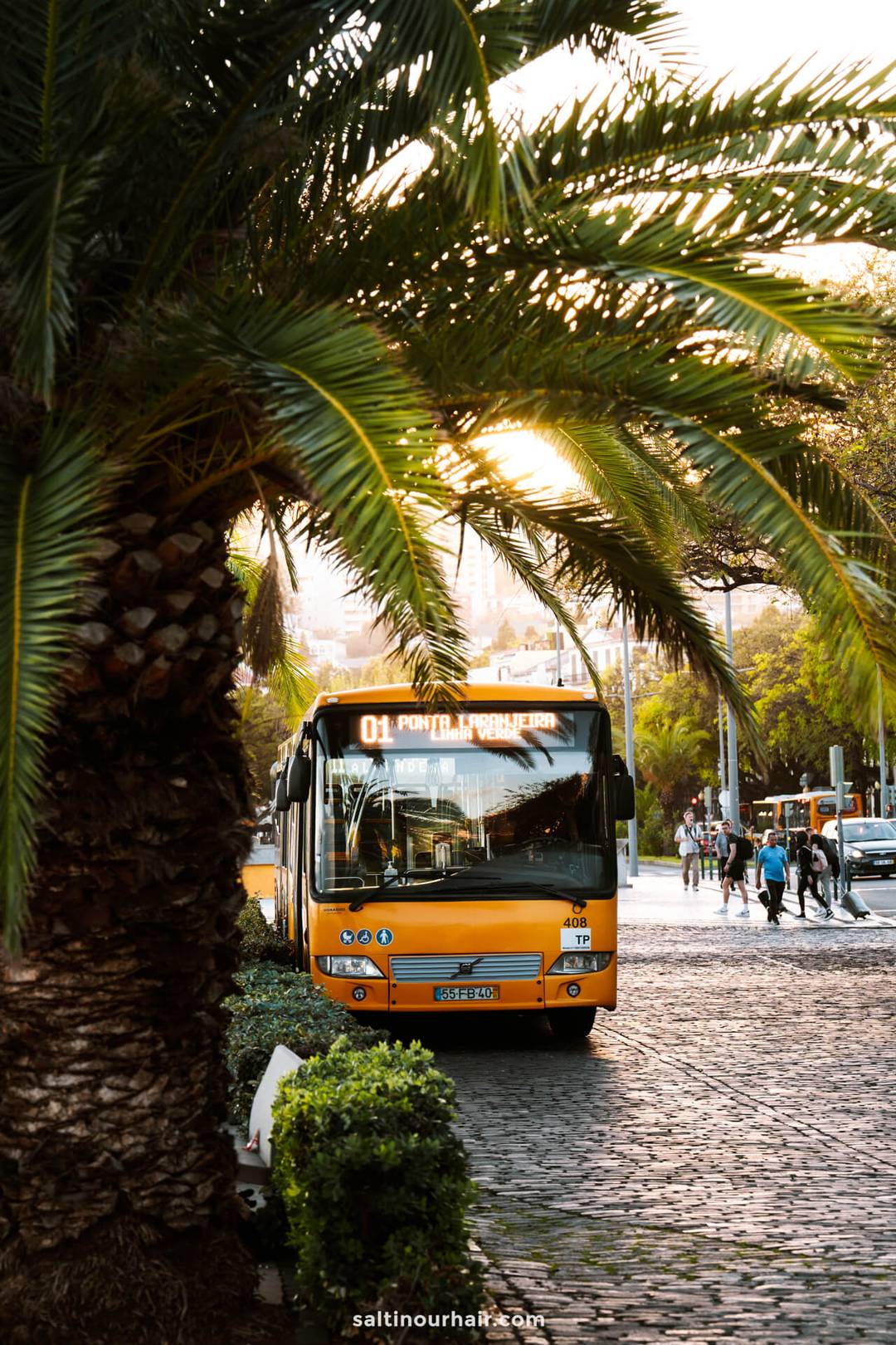 madeira 10 day itinerary travel by bus