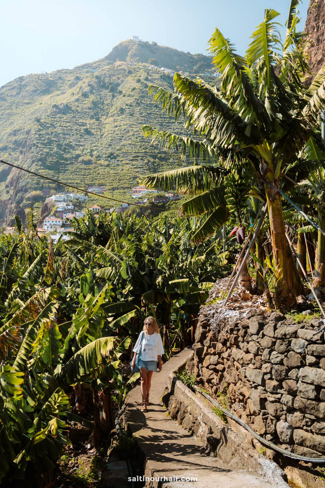 banana hike route madeira