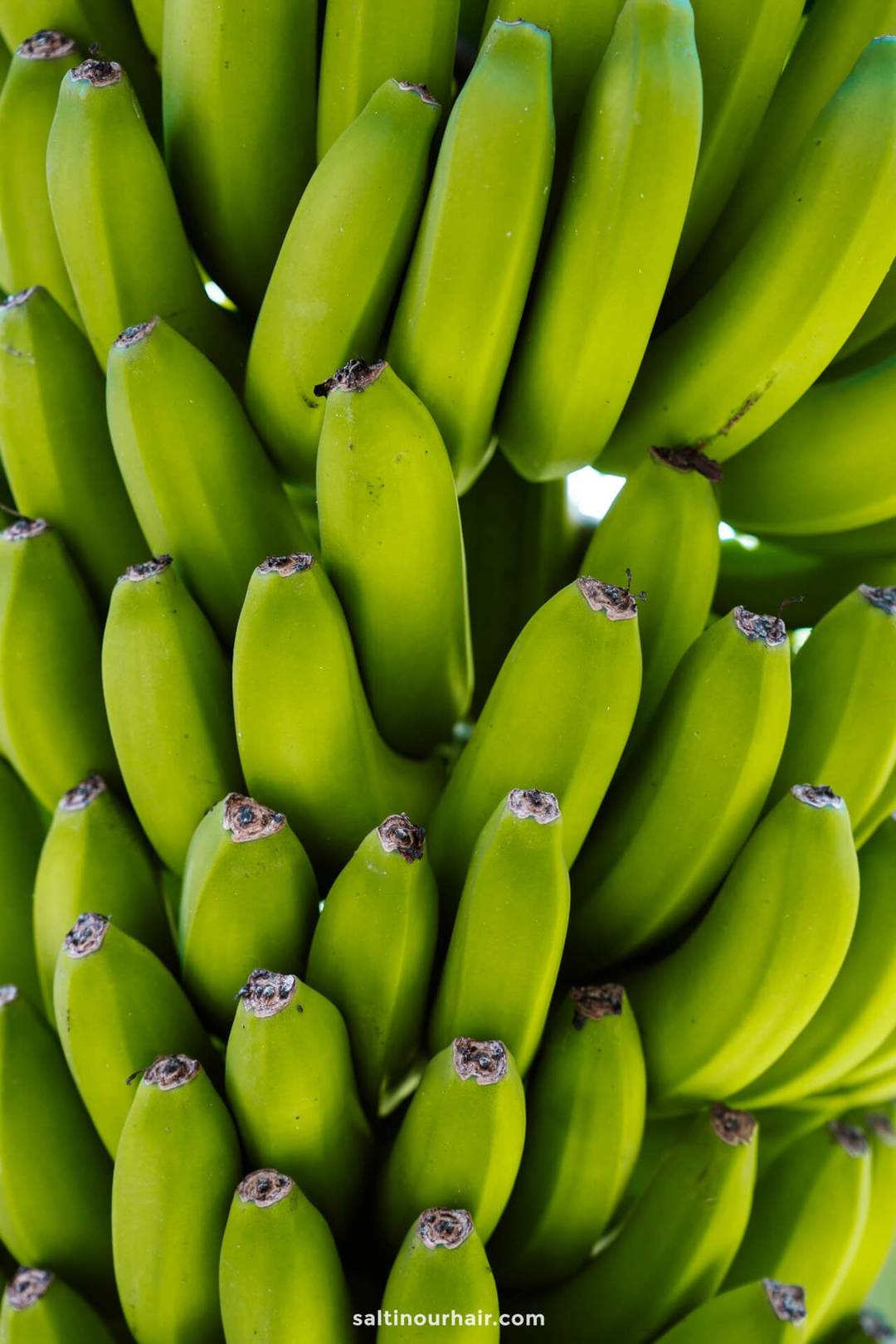 bananas madeira portugal