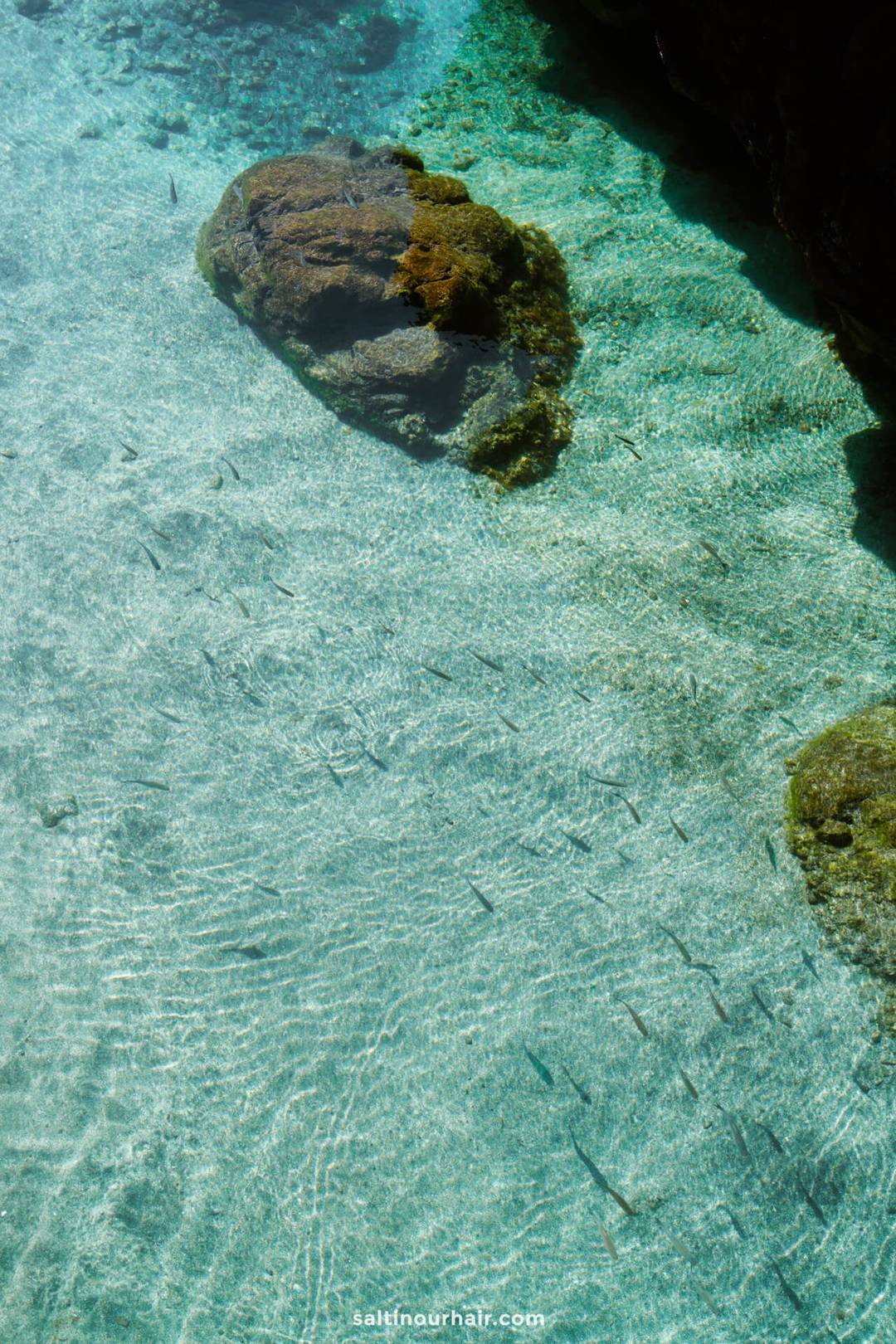 vissen in natuurlijke zwembaden madeira