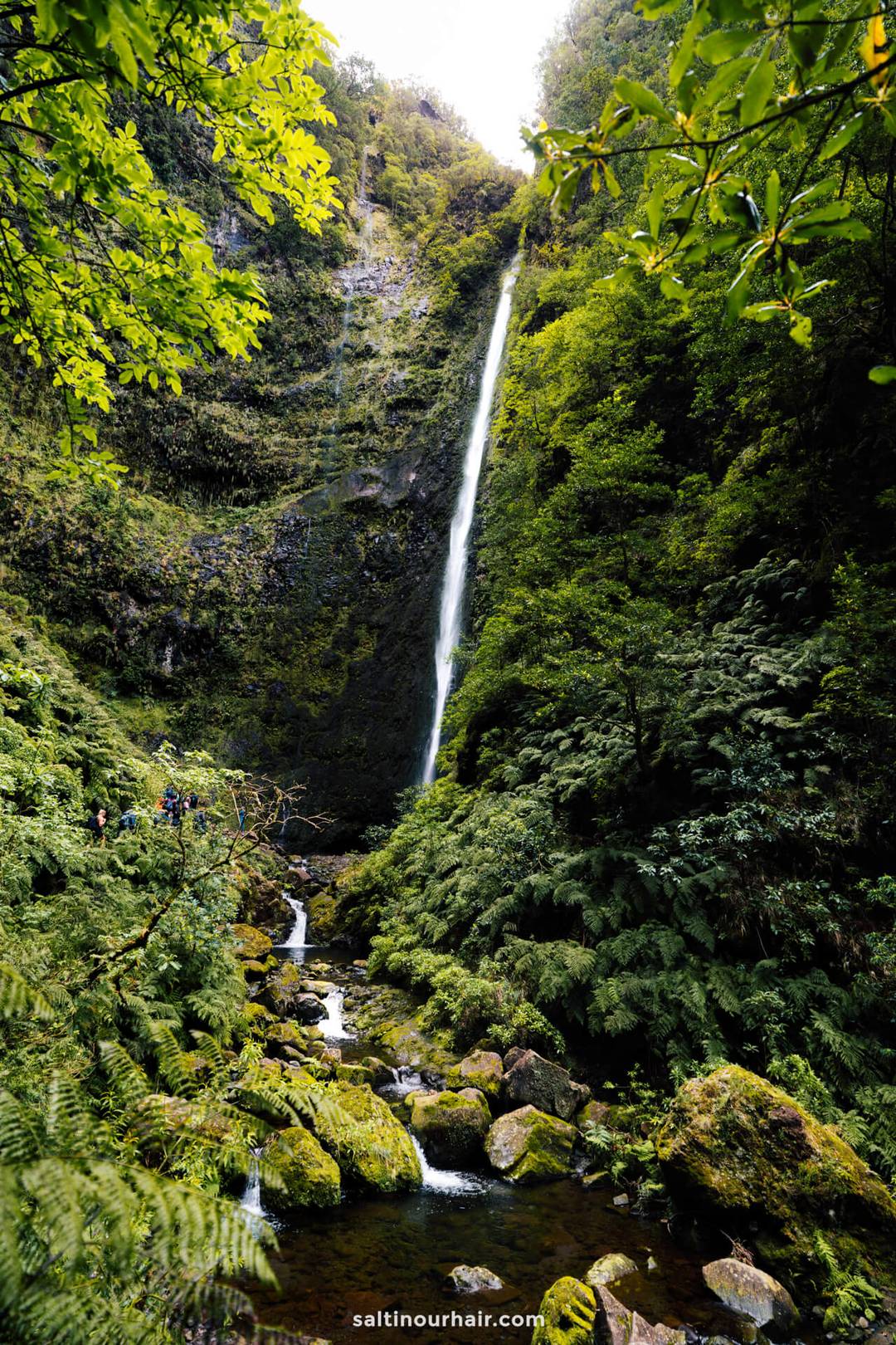 waterval Levada do Caldeirao Verde madeira  