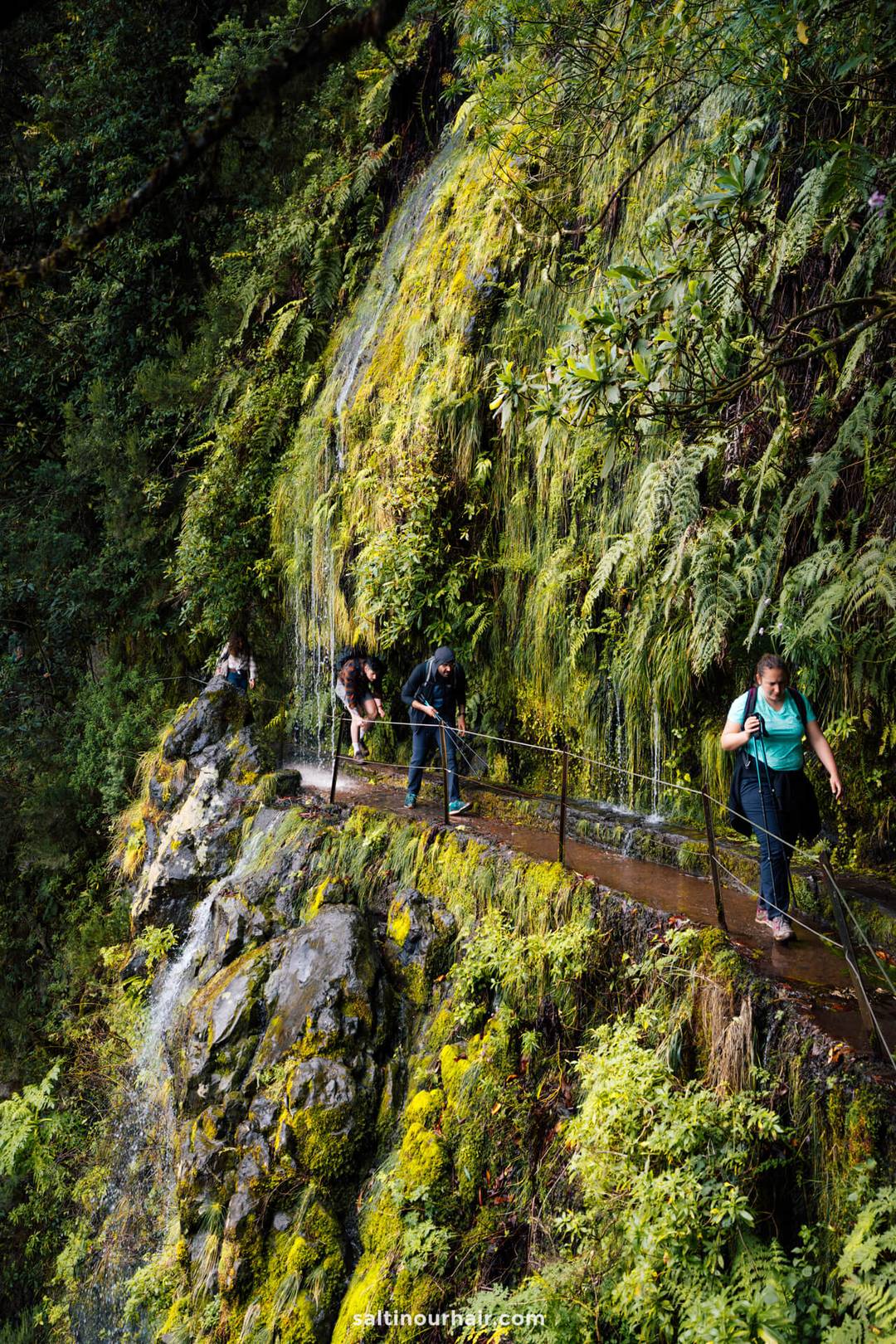 wandelroute Levada do Caldeirao Verde madeira