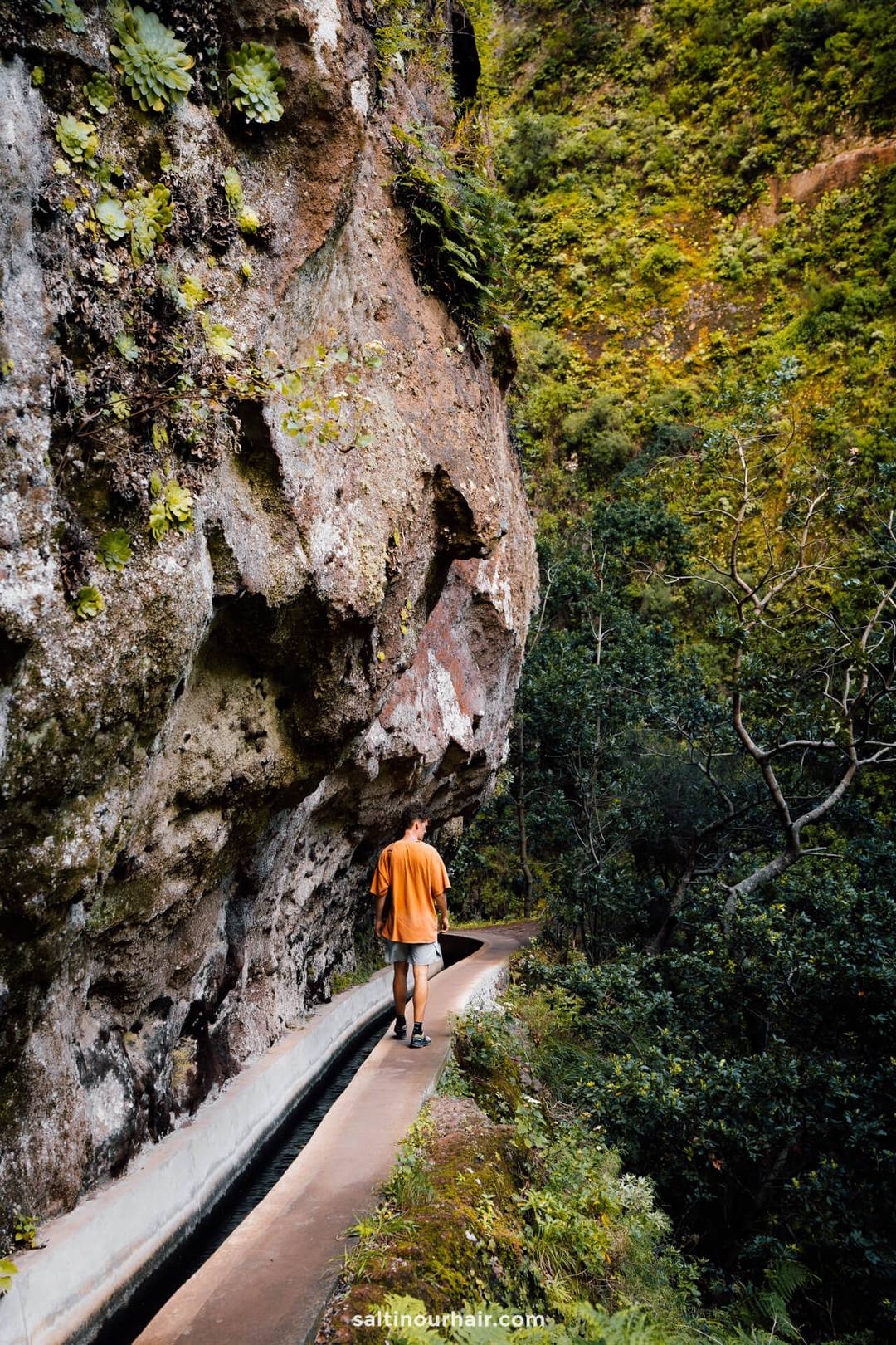 levada do moinho madeira
