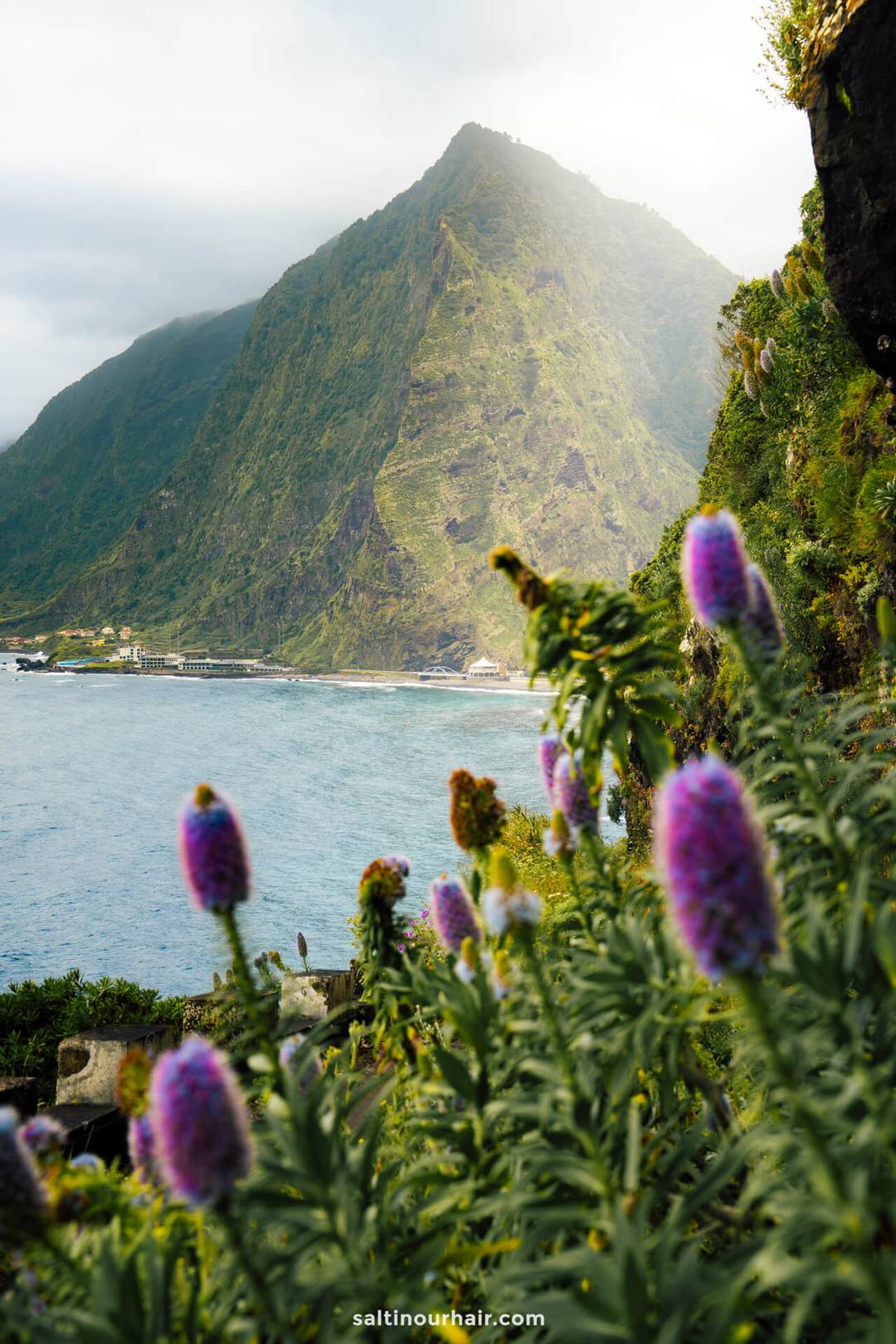 Purple wildflowers in the foreground with a large green mountain and coastal water in the background under a partly cloudy sky&mdash;scenes often found on the best hikes Madeira has to offer.