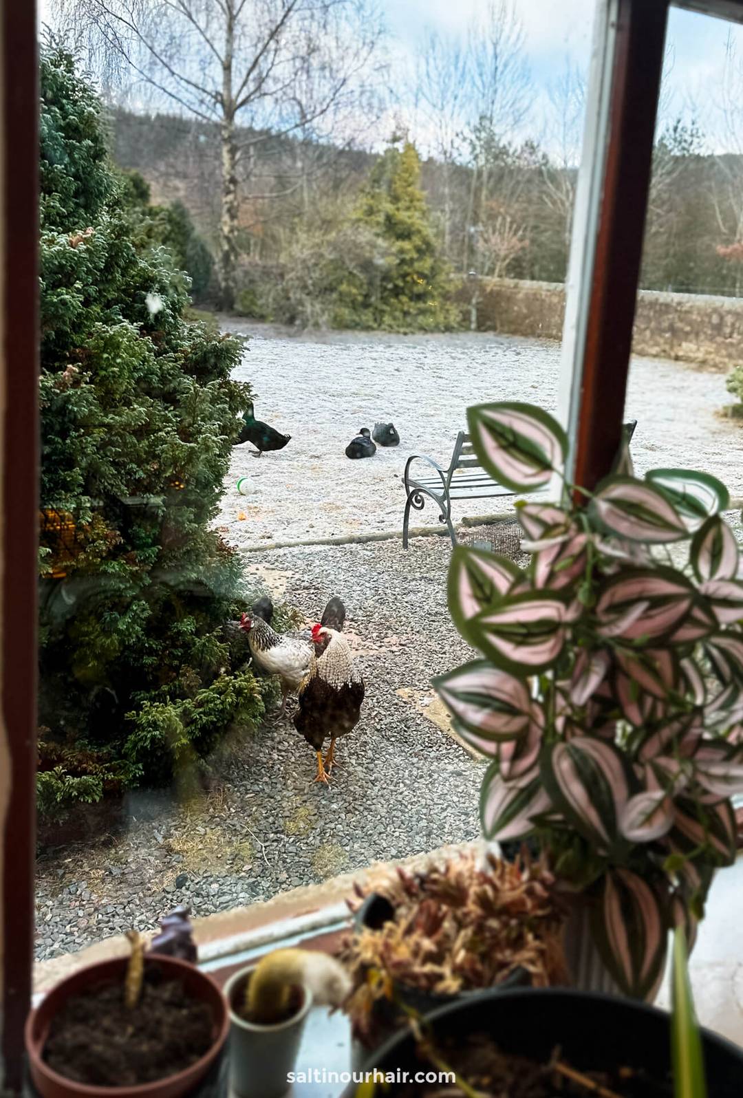 huisje schotland raamzicht kippen