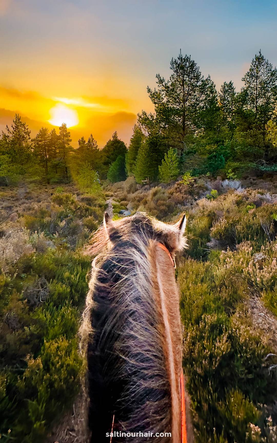 zonsondergang paardrijden hooglanden schotland
