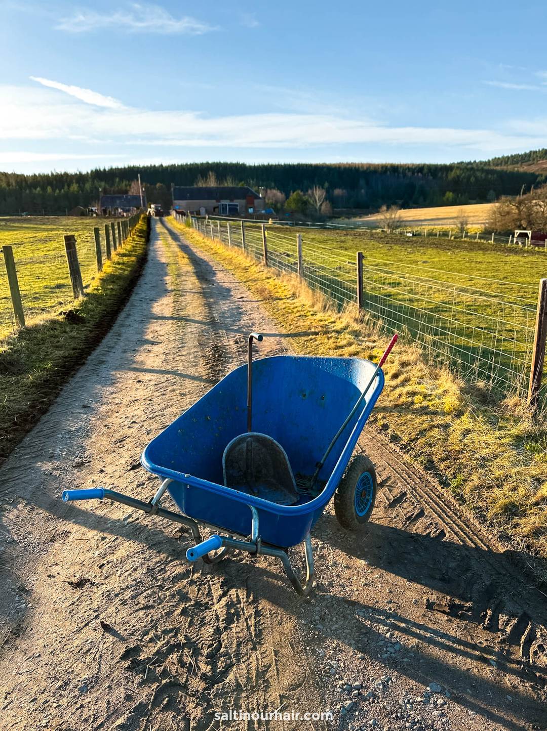 paardenverzorging vakantie schotland