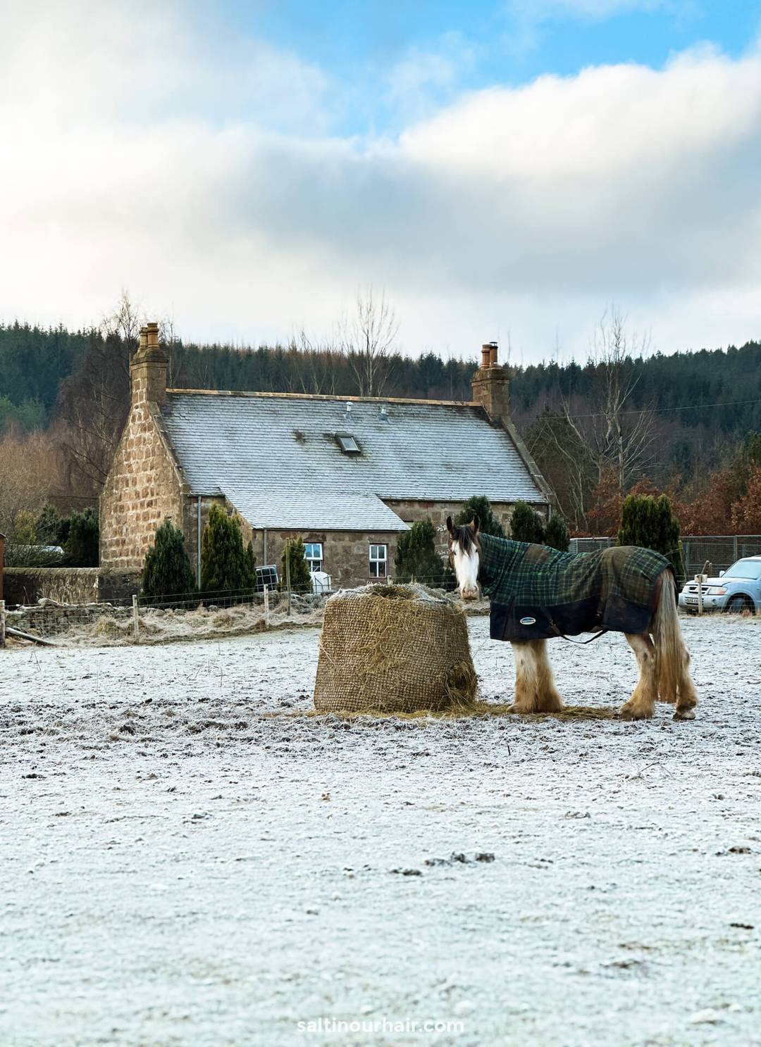 paard Schots huisje