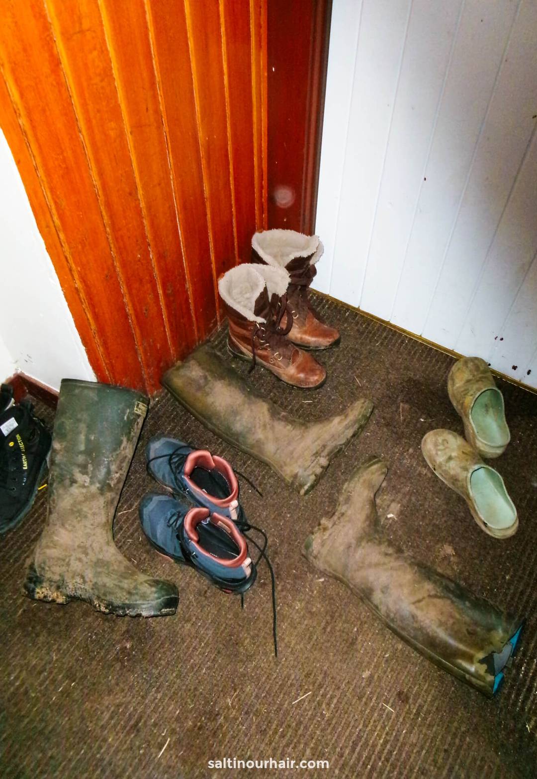 paardrijschoenen