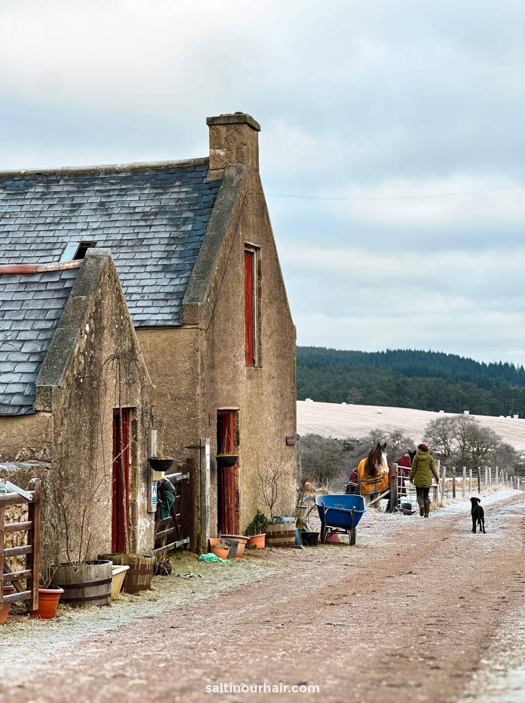 highlands unbridled paardenverzorging vakantie schotland
