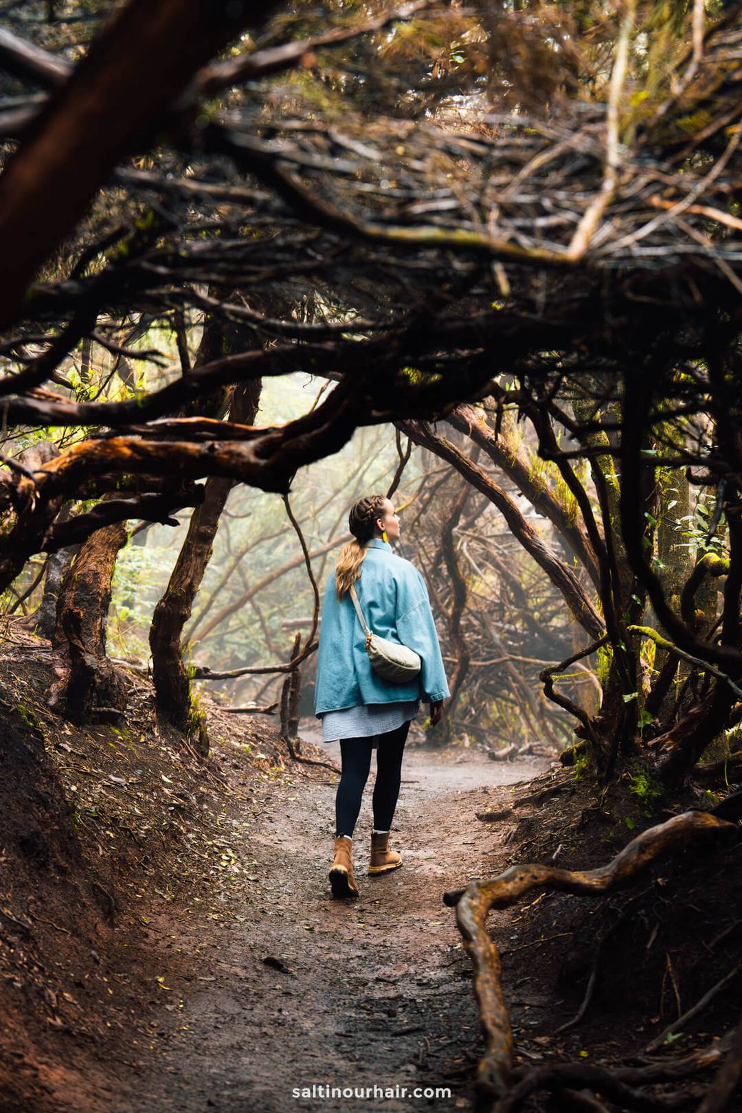 Een vrouw met een blauwe jas en een crossbodytas loopt over de Sendero de los Sentidos in Anaga Rural Park, Tenerife, omringd door kronkelende boomtakken in een rustig bos.