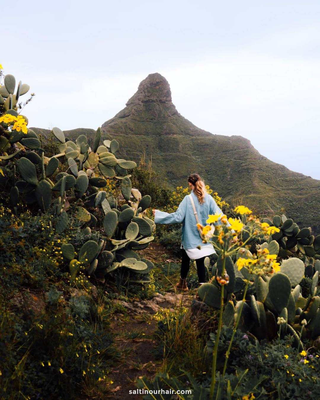 Een vrouw in een spijkerjasje loopt over een pad omringd door cactussen en gele bloemen in Anaga Rural Park, met de opvallende Roque de Taborno-piek op de achtergrond, een van de vele dagtrips vanuit San Crist&oacute;bal de La Laguna.