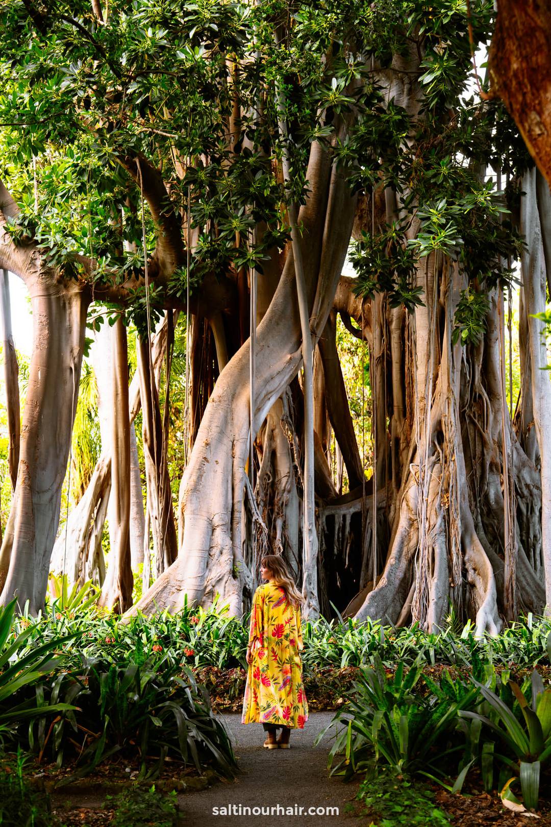 A woman in a yellow floral dress stands on a path facing a large banyan tree with dense, twisting roots and branches in the lush botanical gardens of Puerto de la Cruz, Tenerife.