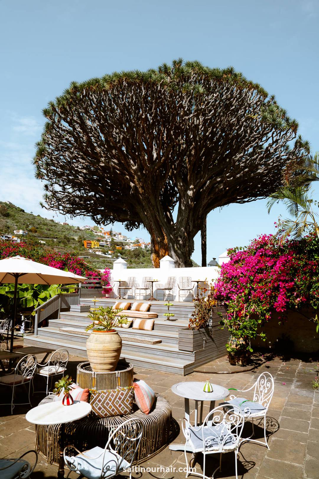 Outdoor patio with white wrought iron furniture and potted plants, set in front of a large, distinctive dragon tree at Casa del Drago in Icod de los Vinos, Tenerife, under a clear blue sky.