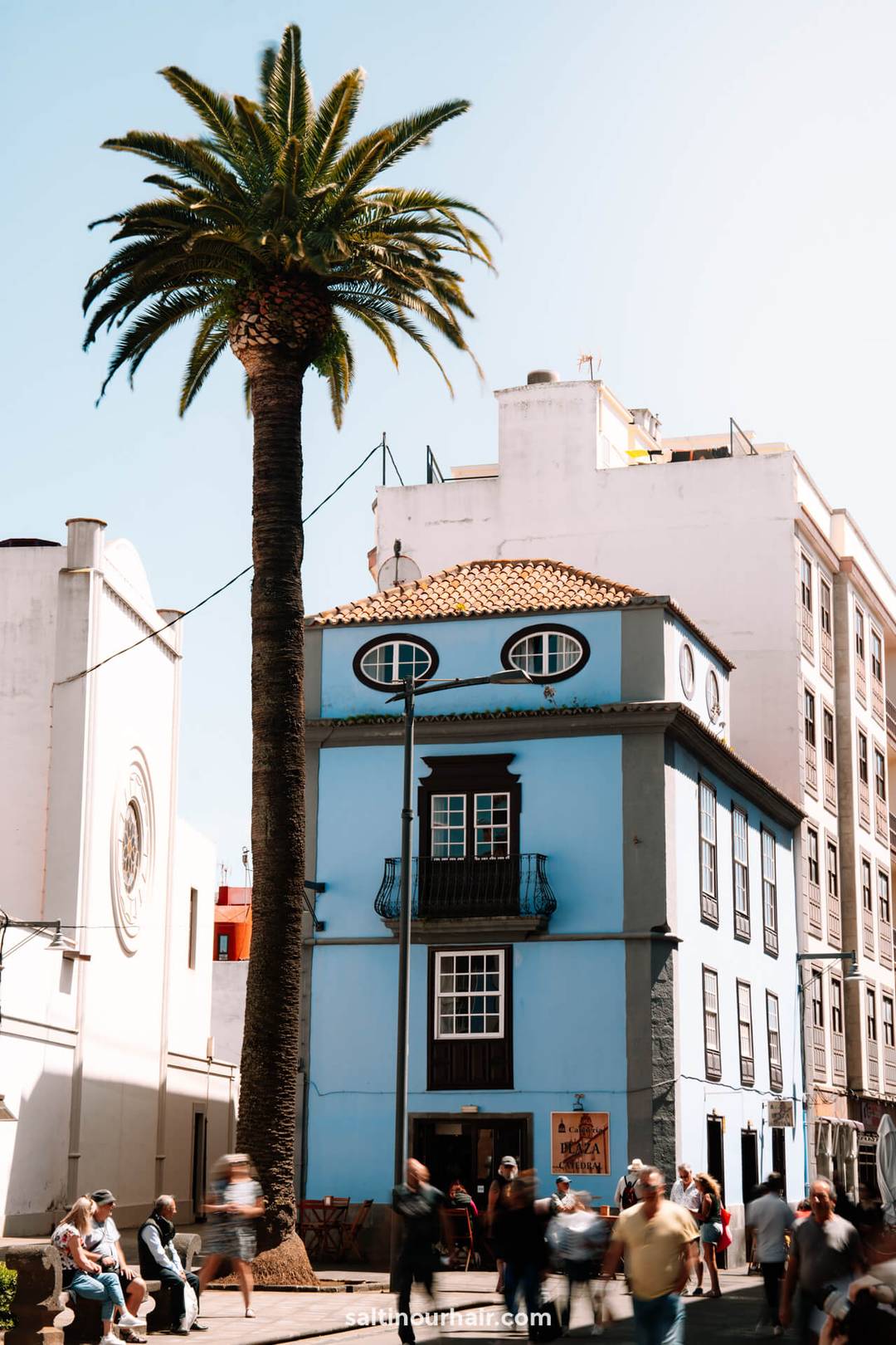 Een hoge palmboom naast een blauw gebouw van drie verdiepingen met ovale ramen in San Crist&oacute;bal de La Laguna, Tenerife; mensen lopen voorbij op de stoep.