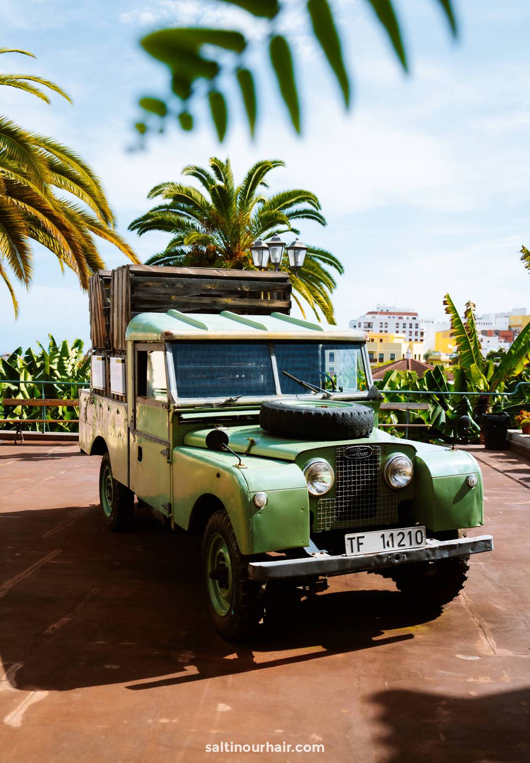 A vintage green Land Rover with a spare tire on the hood is parked on a sunlit terrace surrounded by palm trees—a perfect scene to inspire your list of things to do Tenerife.