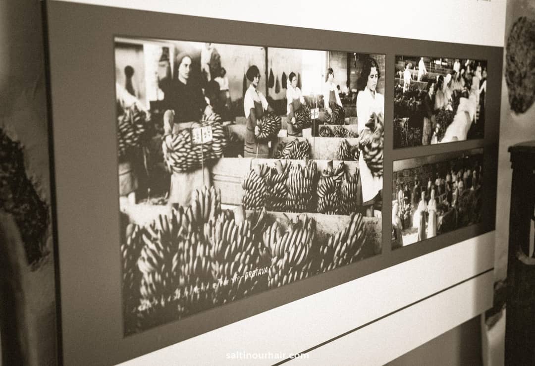 A sepia-toned display board shows historical photographs of people handling and packing bananas, capturing the rich heritage seen on a day trip from Puerto de la Cruz to Icod de los Vinos, Tenerife.