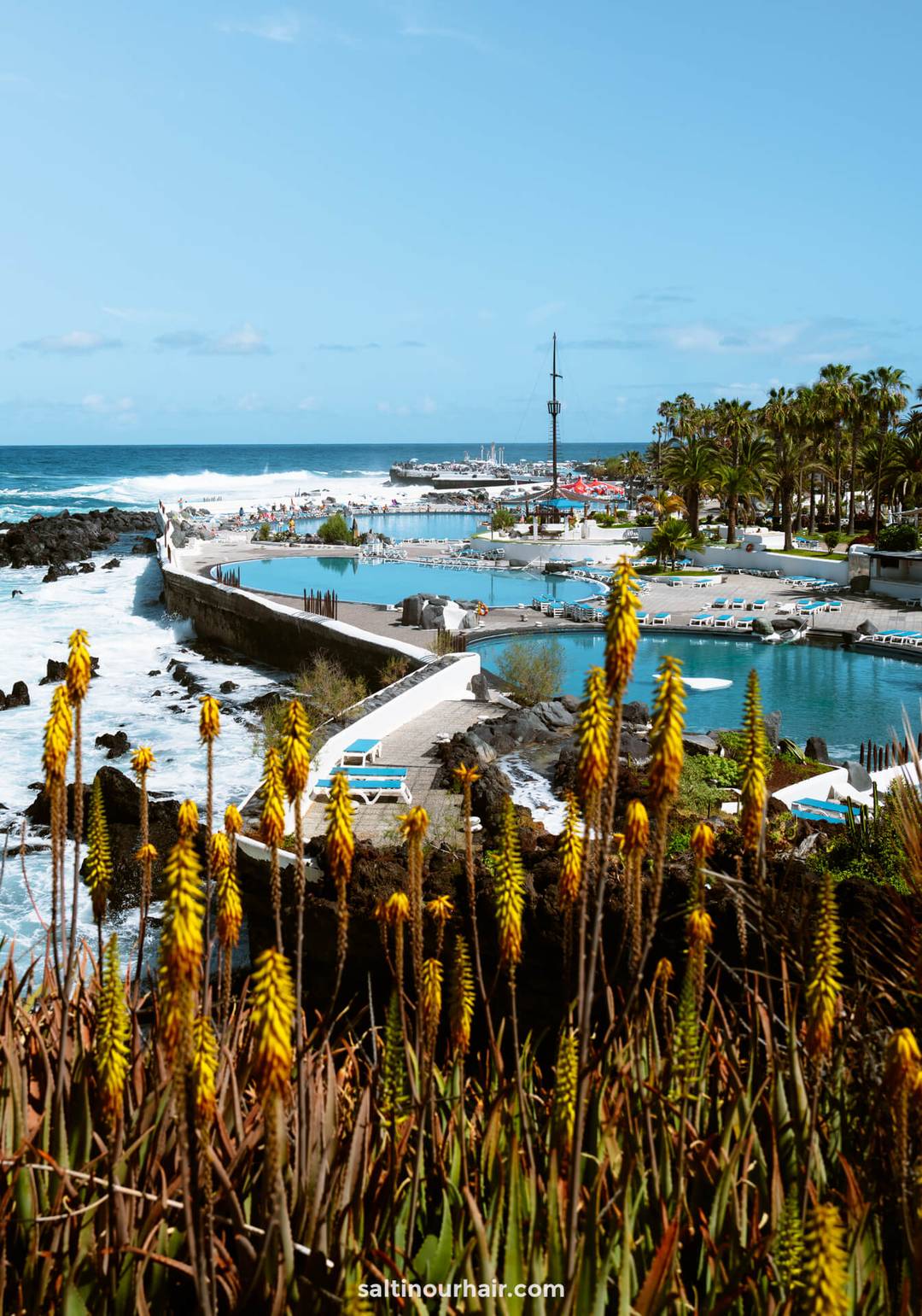 Oceanfront swimming pools lined with palm trees and rocky coastline at Lago Marti&aacute;nez Tenerife, viewed over yellow flowering plants under a clear blue sky.