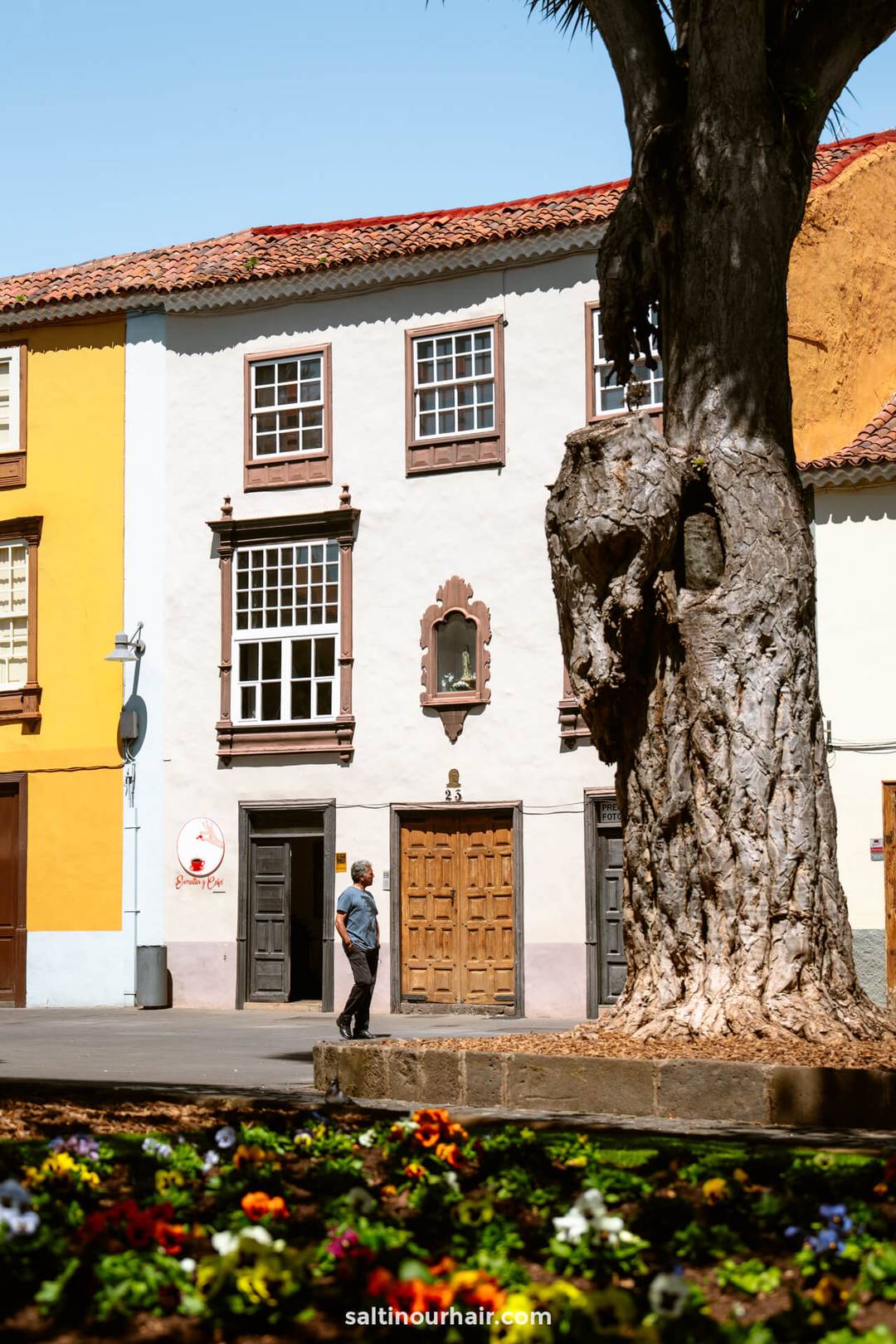 Een persoon loopt langs een wit gebouw met bruine details en een grote boom ervoor, met kleurrijke bloemen op de voorgrond, wat de charme van San Crist&oacute;bal de La Laguna, Tenerife, vastlegt.