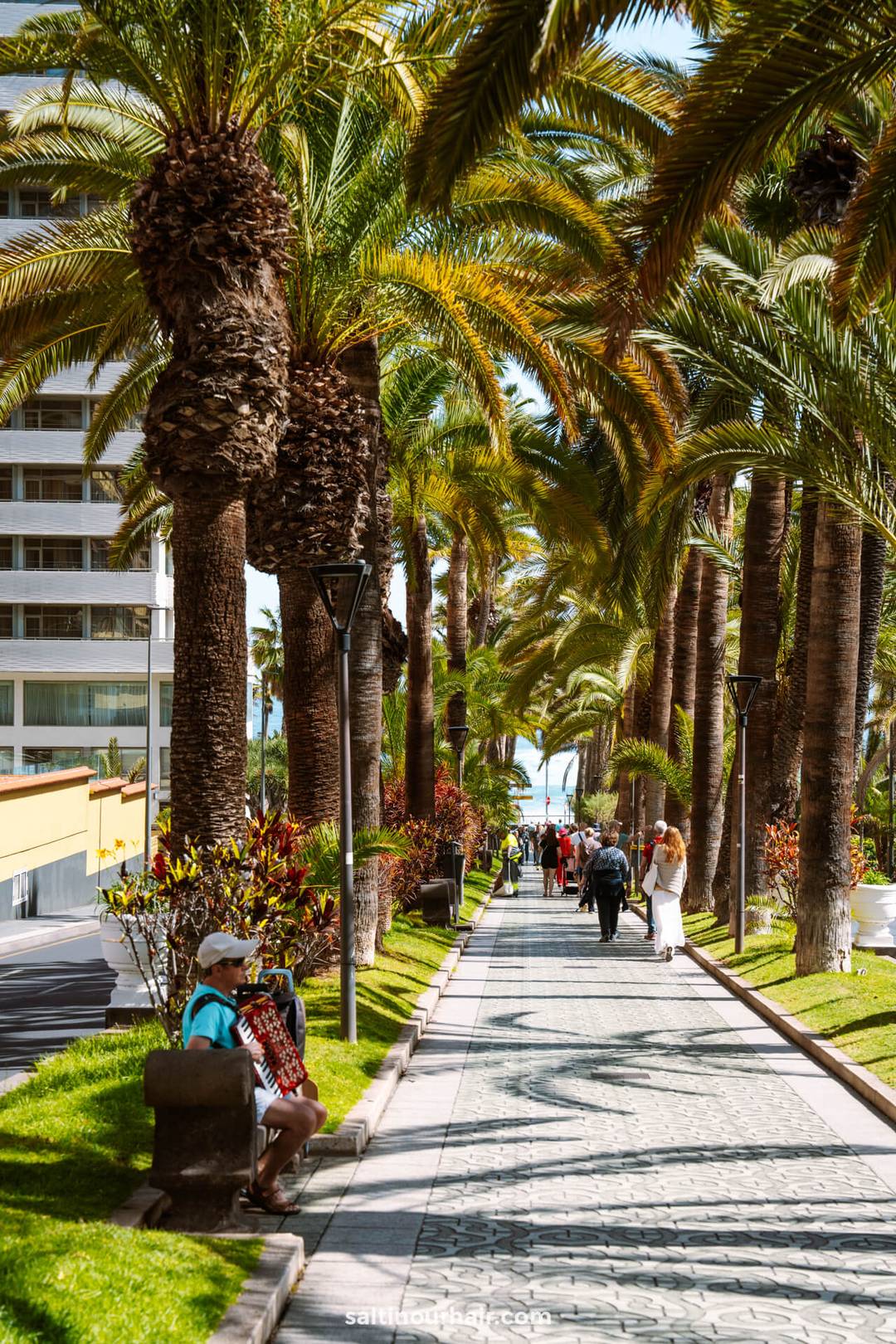 People stroll along a sunlit, palm tree-lined pathway in Puerto de la Cruz, Tenerife, bordered by buildings, with benches and lush greenery on either side.