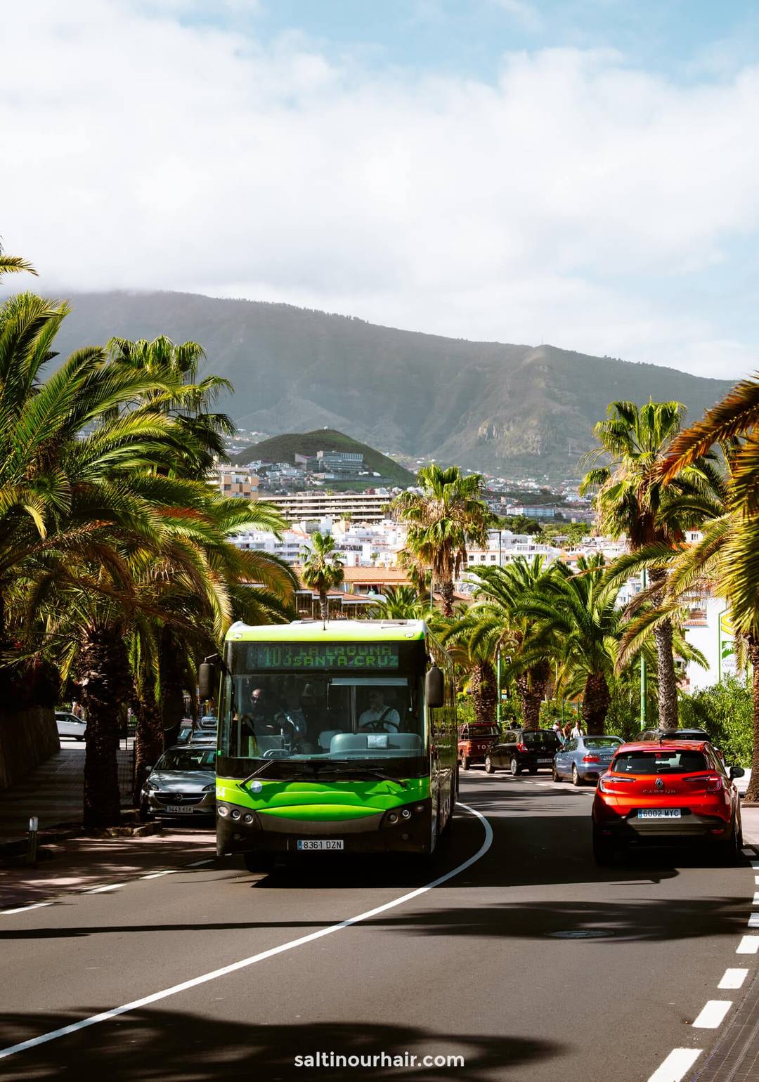 A green bus and several cars drive on a palm-lined road in Puerto de la Cruz, Tenerife, with mountains and buildings in the background under a partly cloudy sky.
