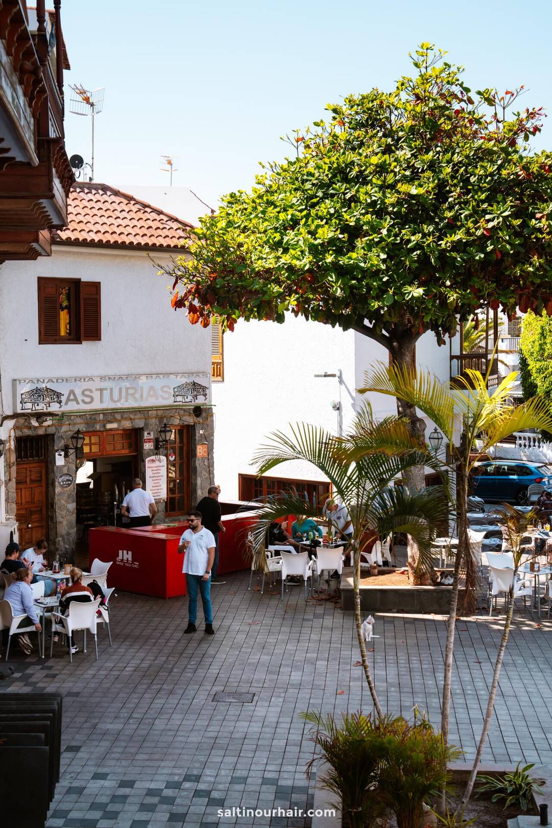 An outdoor caf&eacute; with white tables and chairs is situated beside a tree near Los Gigantes Tenerife. People are seated, and a person stands by a red counter outside a building labeled Asturias.