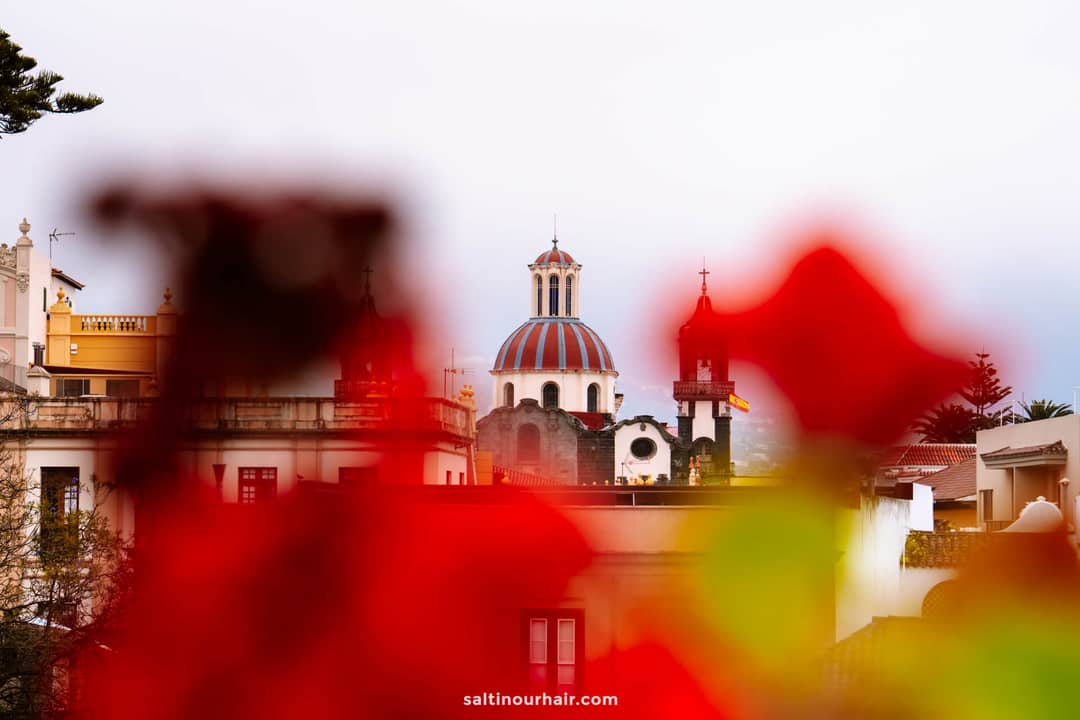 A distant view of a domed church and buildings in la orotava, partially obscured by out-of-focus red flowers in the foreground.