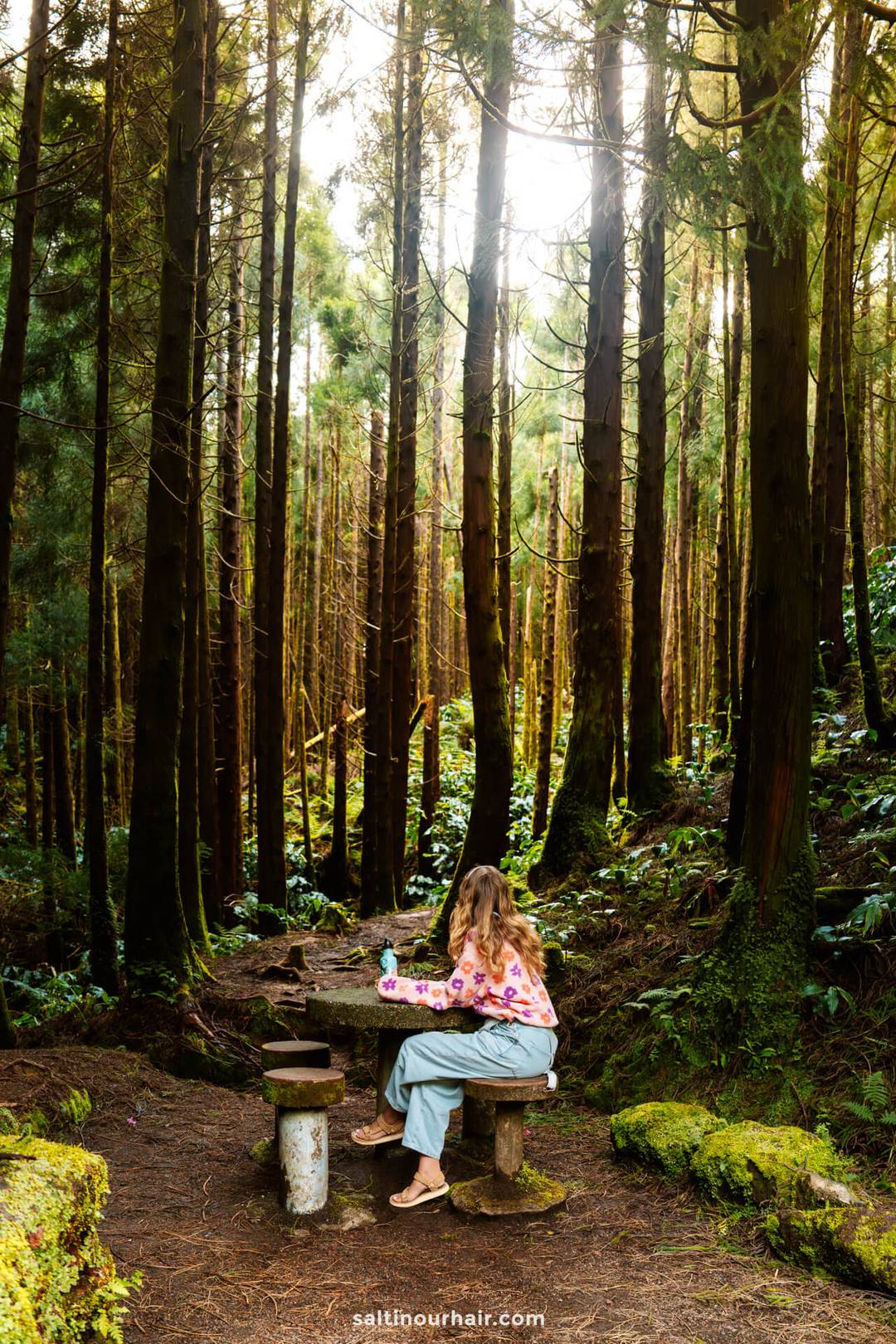 A woman sits on a wooden bench at a picnic table in a forest surrounded by tall trees and sunlight filtering through the branches&mdash;one of the peaceful things to do in S&atilde;o Miguel, Azores.
