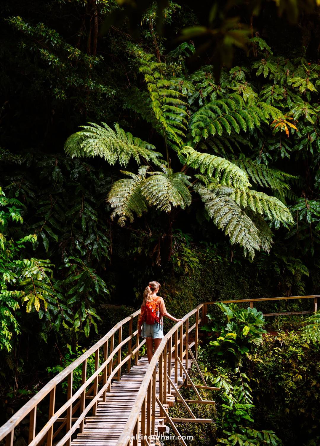 A woman with a red backpack walks on a wooden bridge, surrounded by dense green tropical foliage and large fern leaves while doing the Hike through Parque da Gren&aacute;&mdash;an idyllic moment among the many things to do in S&atilde;o Miguel, Azores