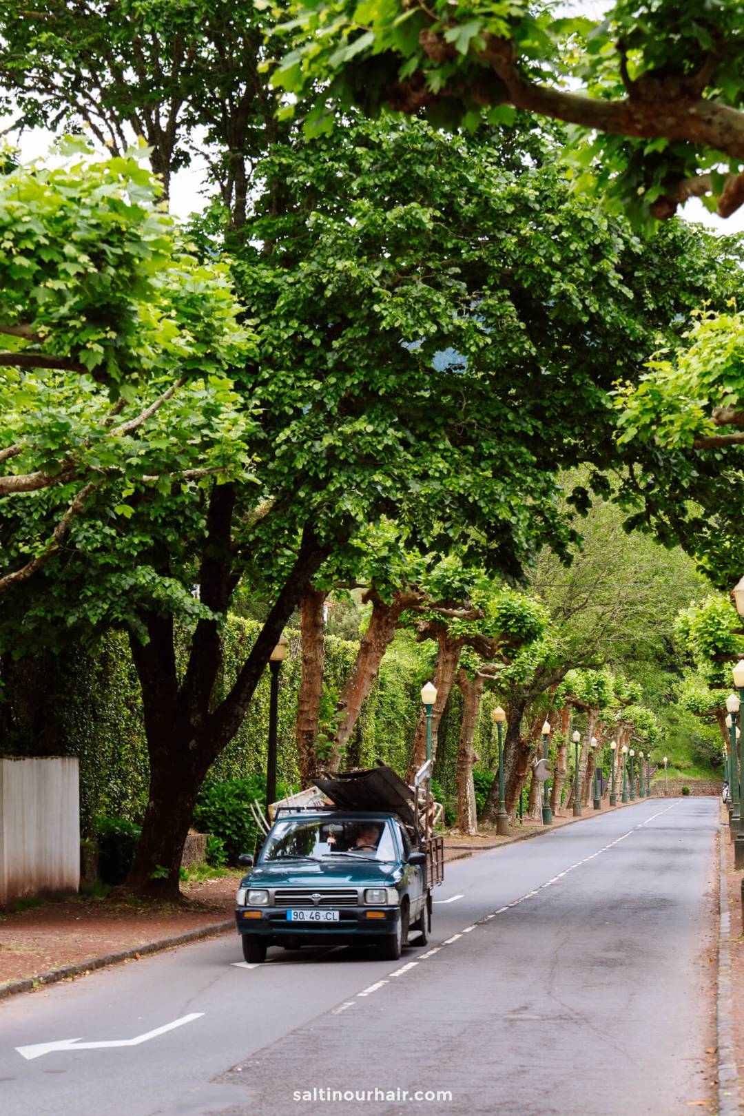 A small blue truck with cargo drives down an empty, tree-lined street under overhanging green foliage&mdash;a peaceful scene reminiscent of exploring things to do in Furnas, Azores.