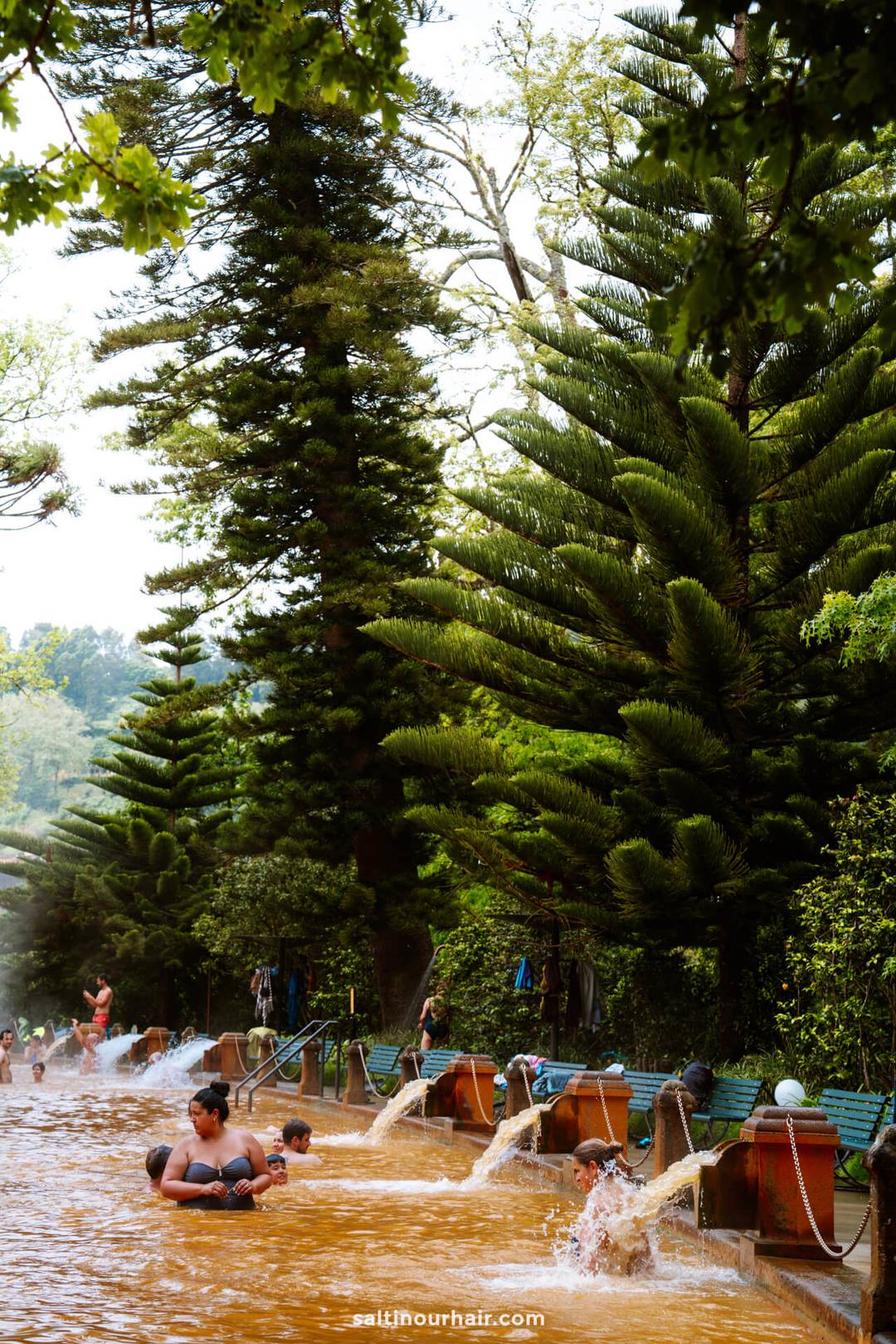 People swimming and relaxing in a large outdoor pool with reddish-brown water, surrounded by tall evergreen trees and water spouts along the edge&mdash; Parque Terra Nostra hot springs in S&atilde;o Miguel