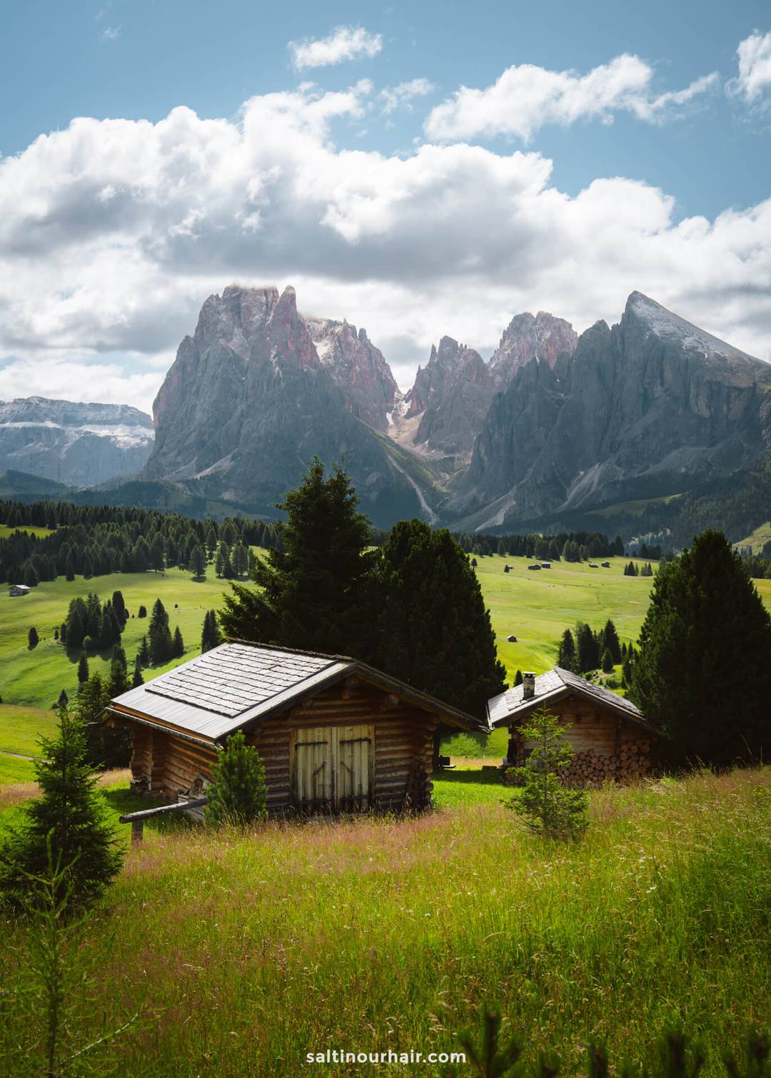 Two wooden cabins sit in a grassy field with trees, set against the rugged mountains of Alpe di Siusi, Dolomites, Italy, beneath a partly cloudy sky.