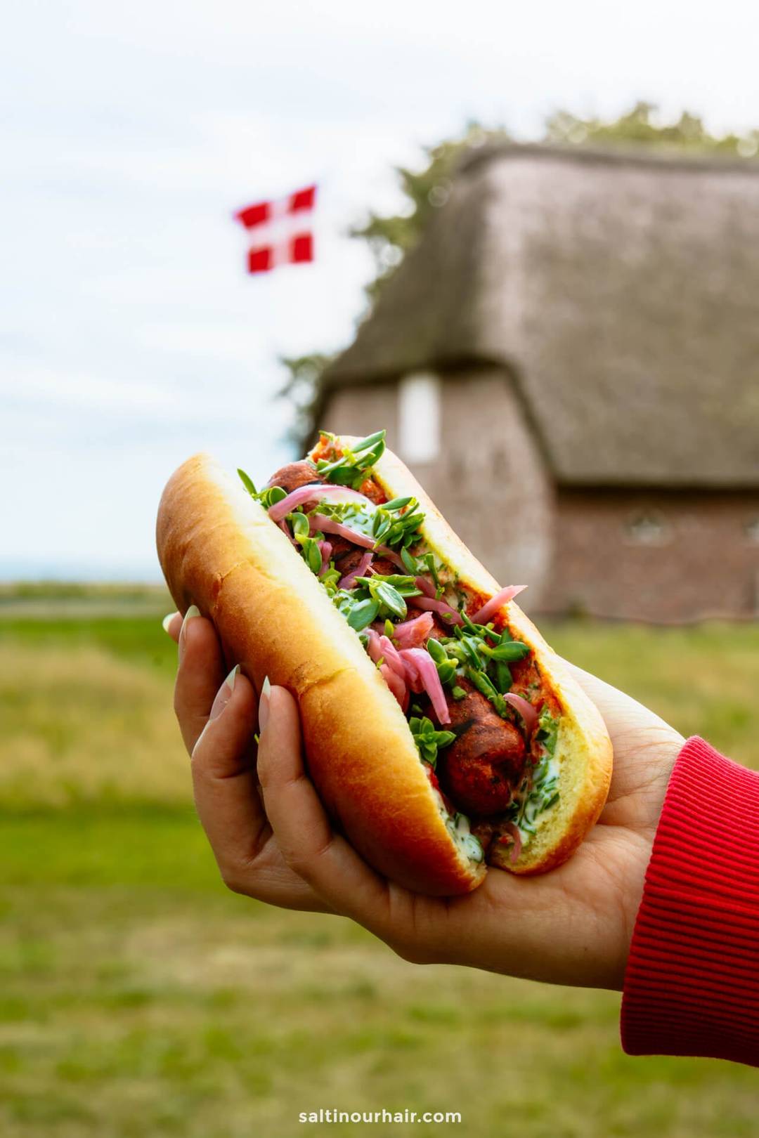 A hand holds a topped hot dog outdoors, with a blurred traditional building and Danish flag in the background&mdash;an appetizing pause on any Denmark itinerary.