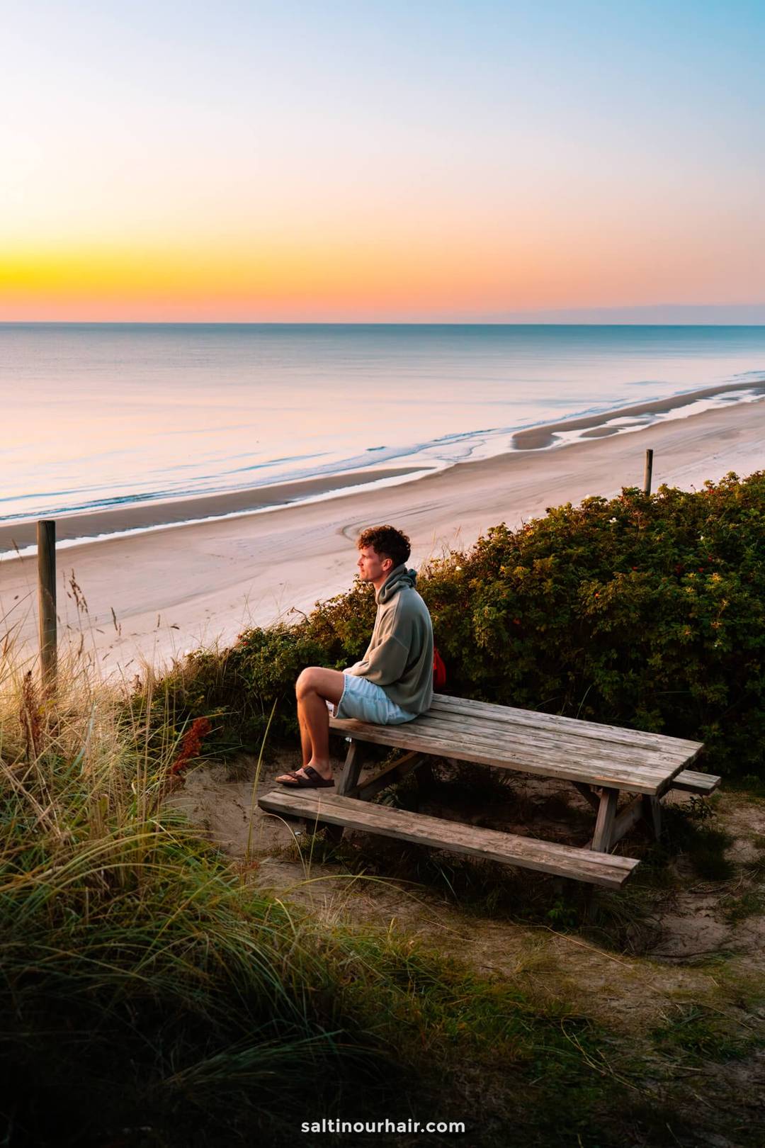 A man sits alone on a wooden bench overlooking a sandy beach and calm sea at sunset, with green bushes and tall grass in the foreground&mdash;a peaceful stop on any Denmark itinerary.