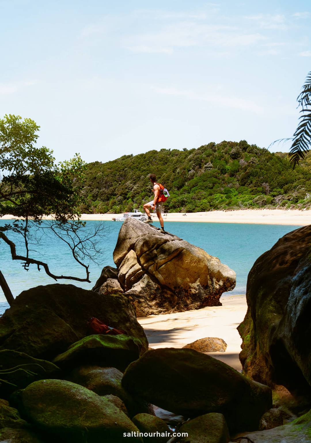 A person with a backpack stands on a large rock by the beach in Abel Tasman National Park, overlooking blue water and a forested hillside on a sunny day.