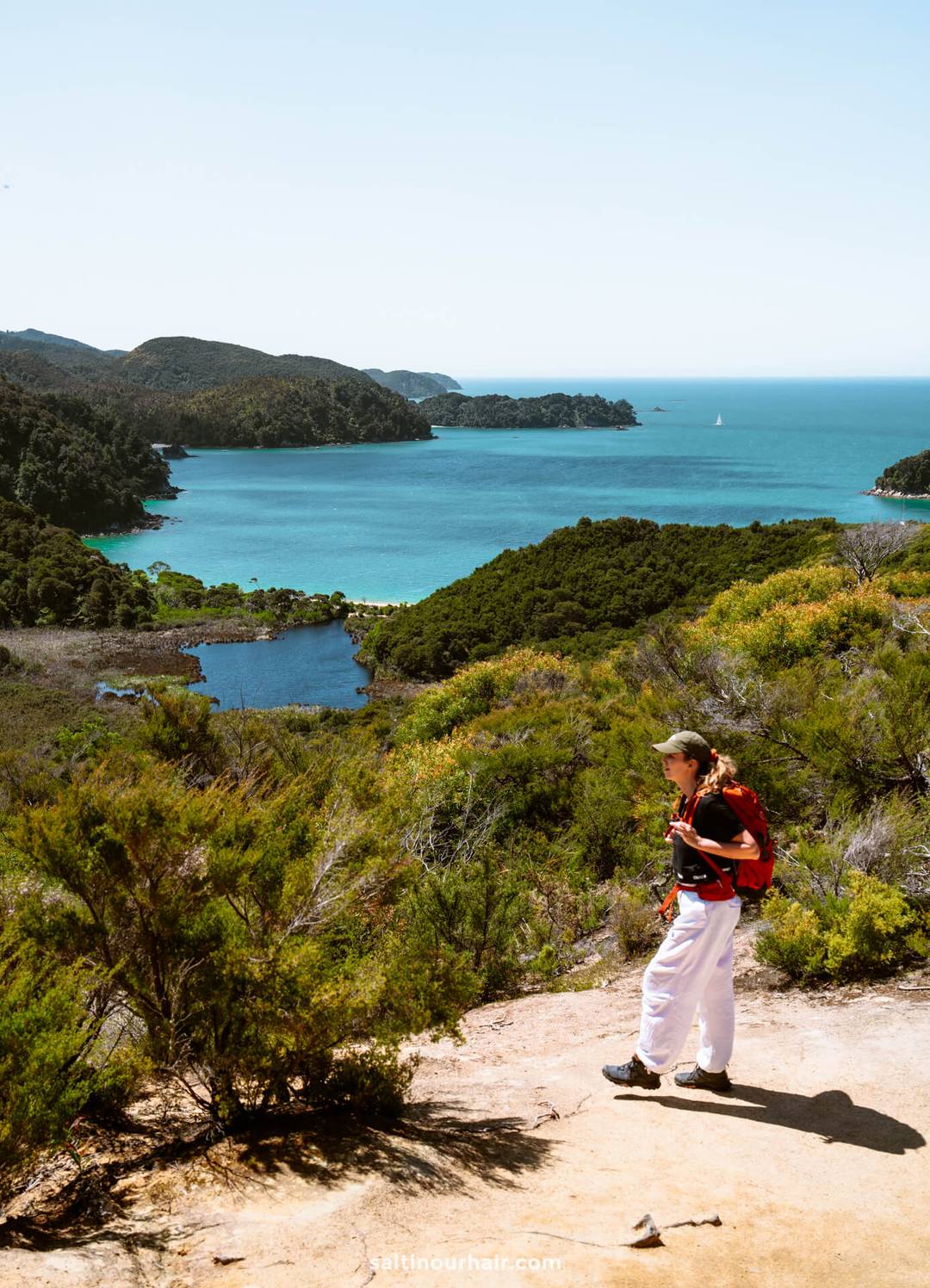 A person with a red backpack walks along a dirt trail overlooking the stunning coastal landscape of Abel Tasman National Park, with green hills, blue water, and a clear sky.