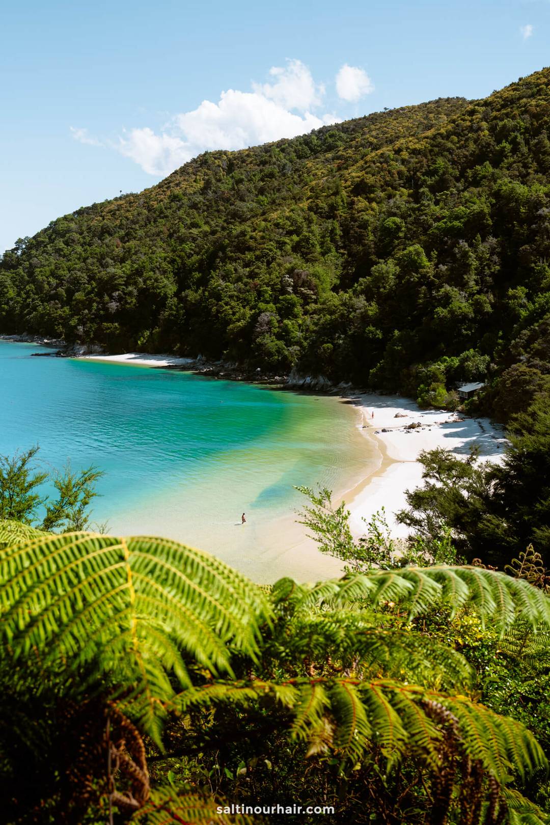 A person walks along a white sandy beach in Abel Tasman National Park, bordered by turquoise water and dense green forest under a partly cloudy sky.