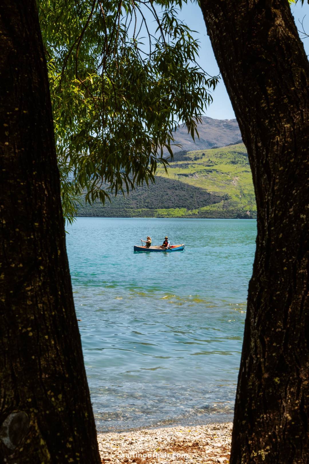 Two people paddle a blue canoe on a calm lake in the New Zealand South Island itinerary, framed by tree trunks, with green hills and a clear sky in the background.