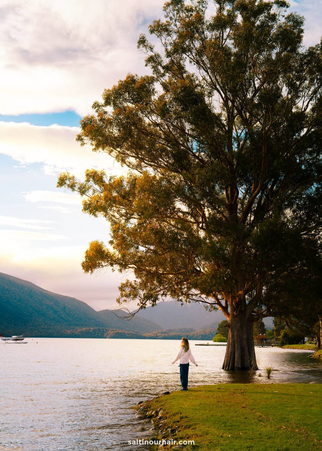 A person stands by the edge of a lake near a large tree, mountains rising in the distance under a partly cloudy sky&mdash;an idyllic stop on any New Zealand South Island itinerary.