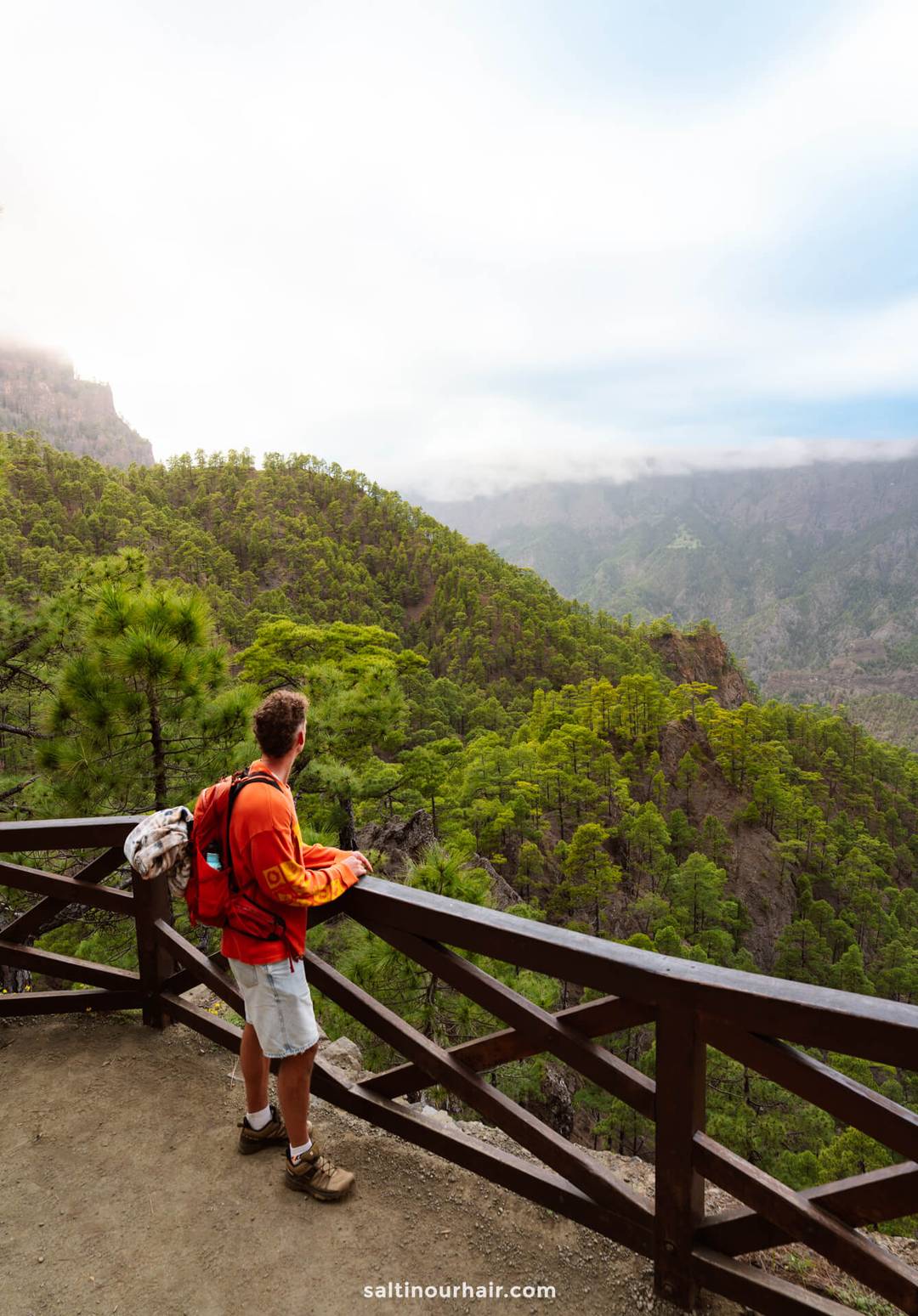 A person with a red backpack stands at a wooden railing, overlooking the lush valleys and distant mountains of La Palma in the Canary Islands under a cloudy sky&mdash;an inspiring scene from any travel guide.