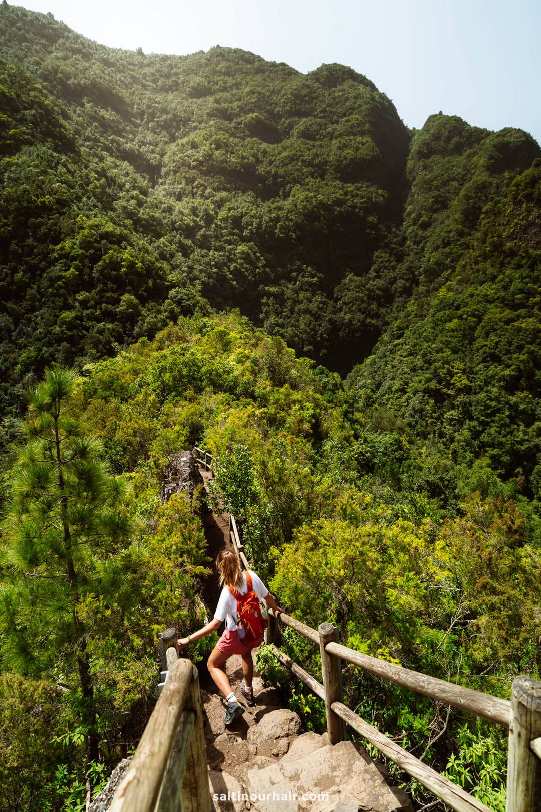 A person with a red backpack walks down a rocky trail with wooden railings on La Palma, surrounded by dense green forest and tall mountains&mdash;an unforgettable scene from any stellar Canary Islands travel guide.